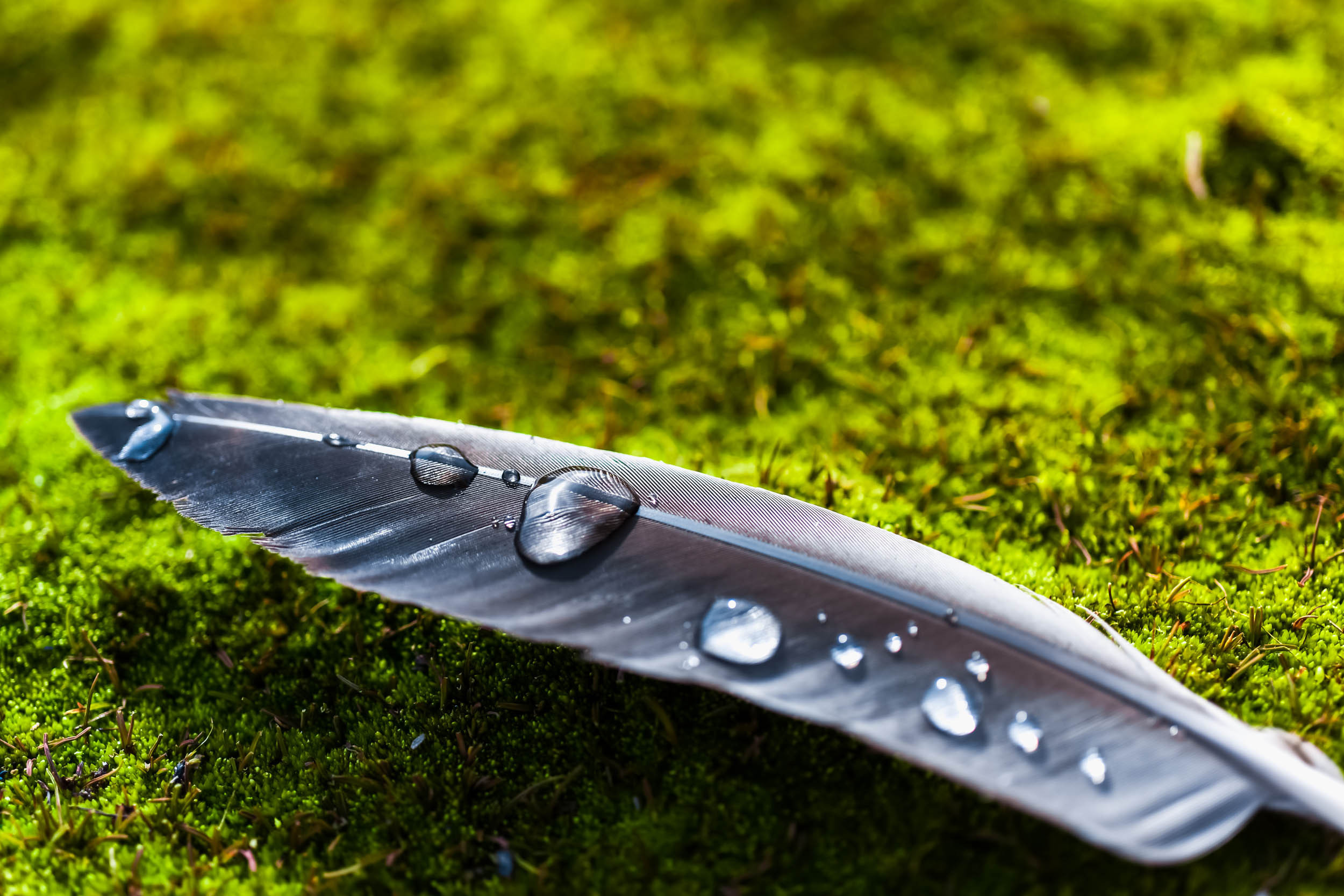 Svalbard. Summer. Family and wedding photographer in Norway Bublik Polina