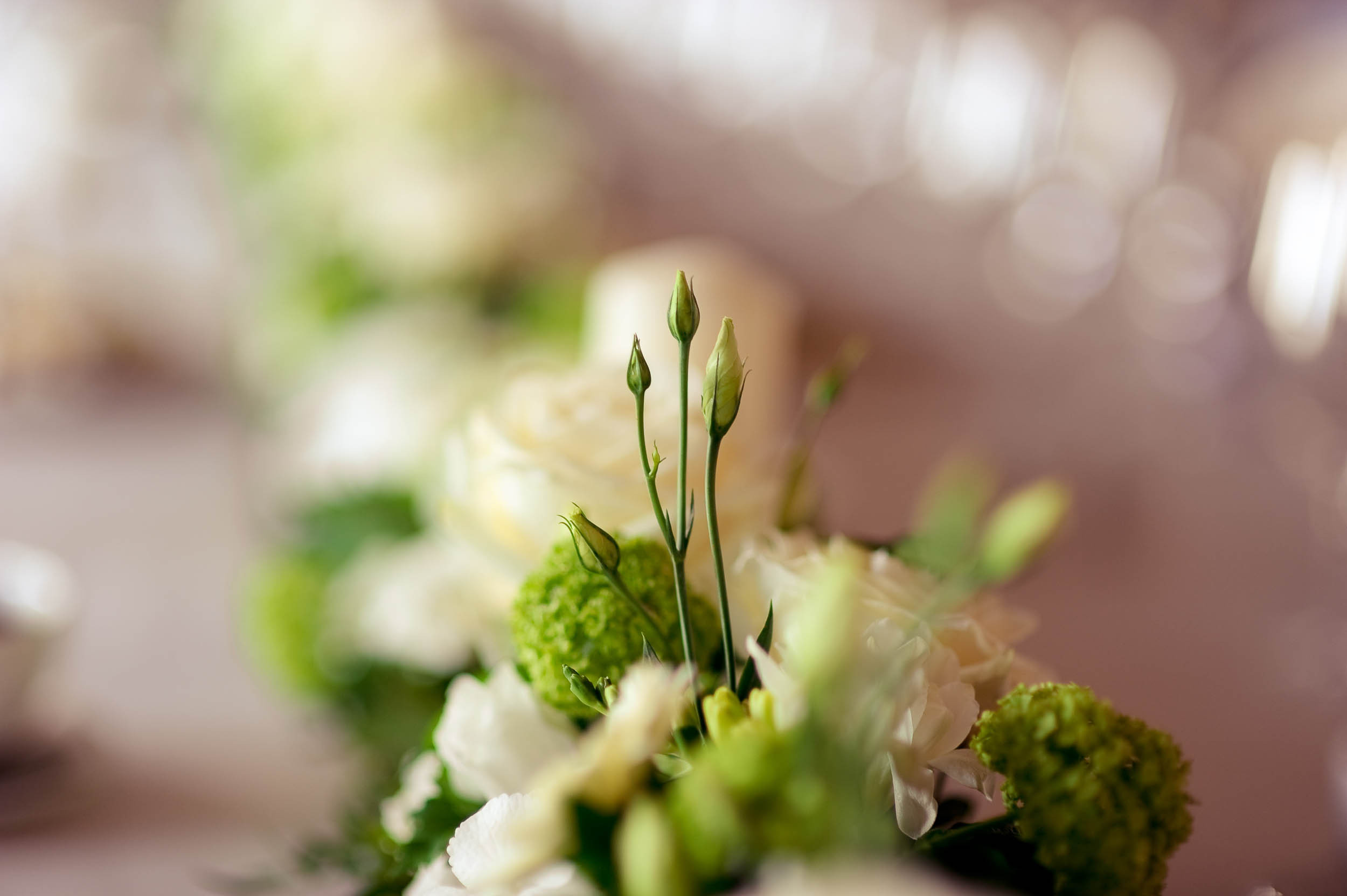 Mikchail and Dariya. St-Petersburg. Family and wedding photographer in Norway Bublik Polina