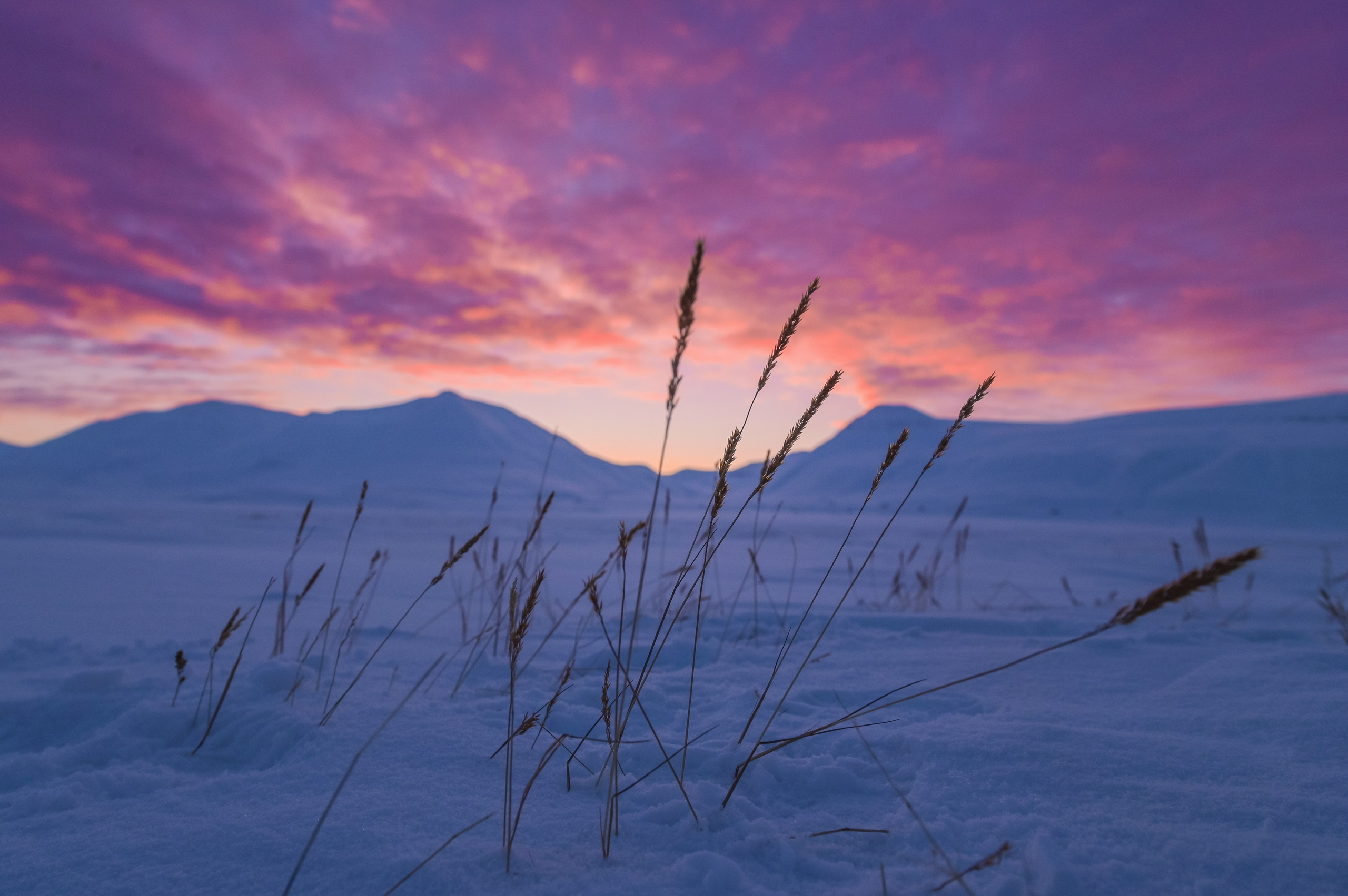 Svalbard february 2024. Family and wedding photographer in Norway Bublik Polina
