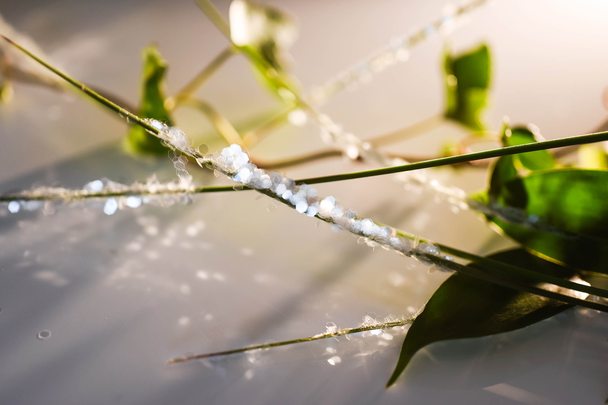 Tatia and Kristian. Oslo. Family and wedding photographer in Norway Bublik Polina