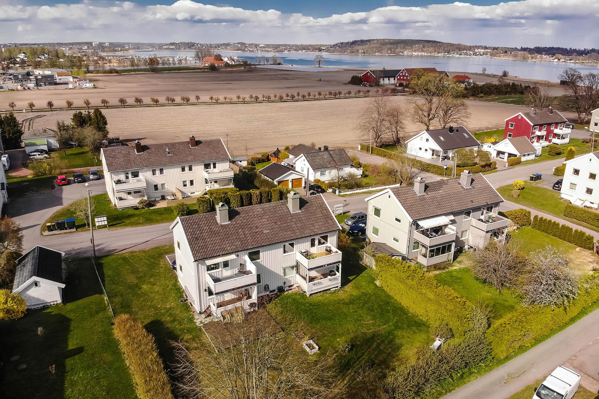 -2-. Family and wedding photographer in Norway Bublik Polina