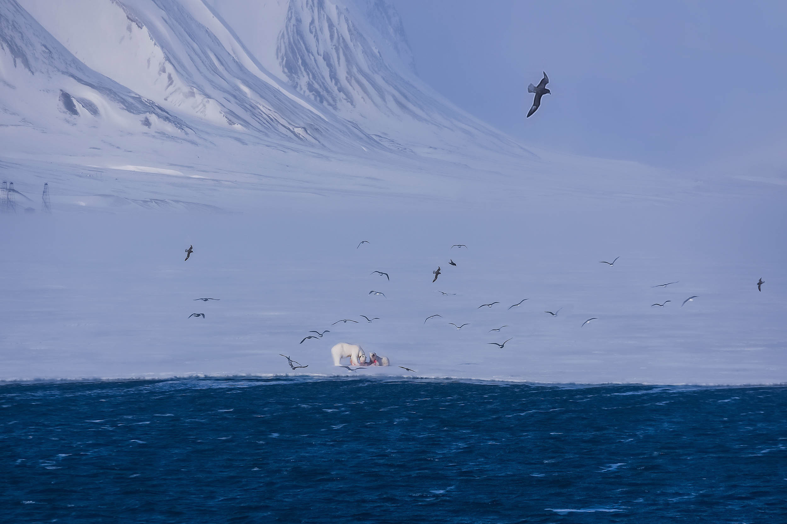 Svalbard. Winter. Day. Family and wedding photographer in Norway Bublik Polina