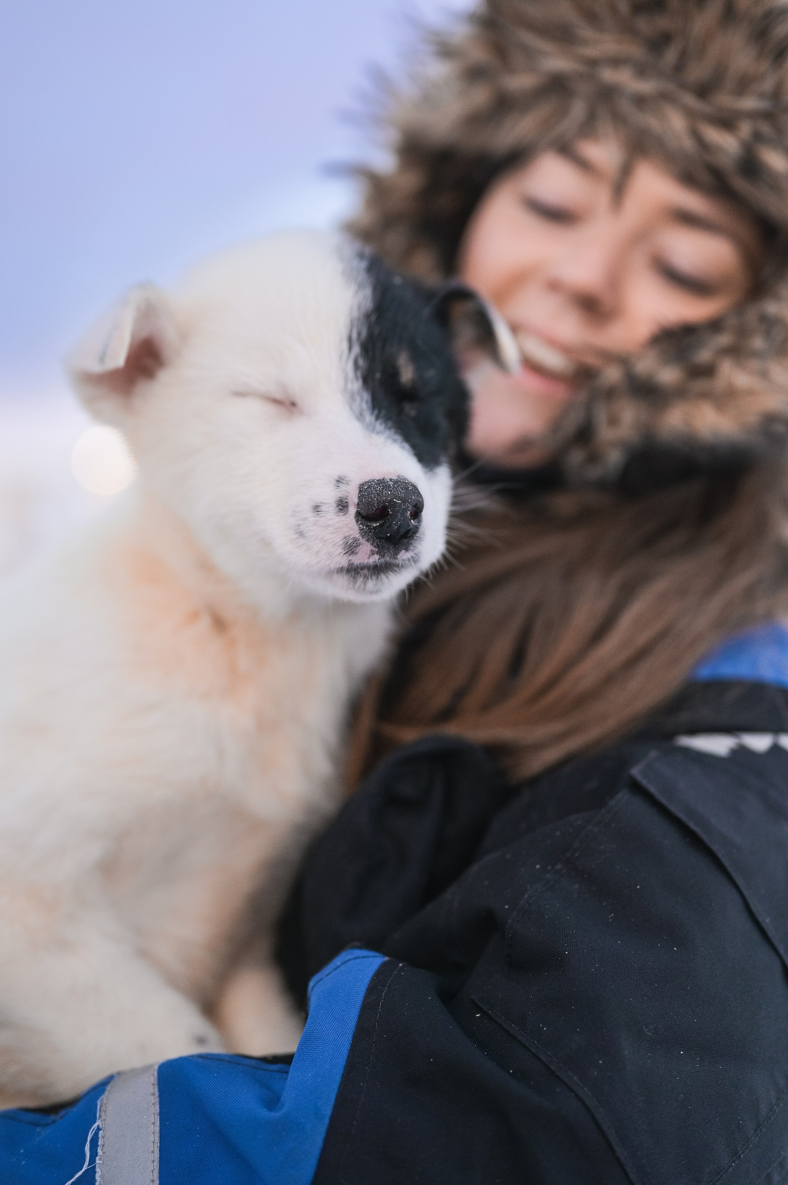 Svalbard february 2024. Family and wedding photographer in Norway Bublik Polina