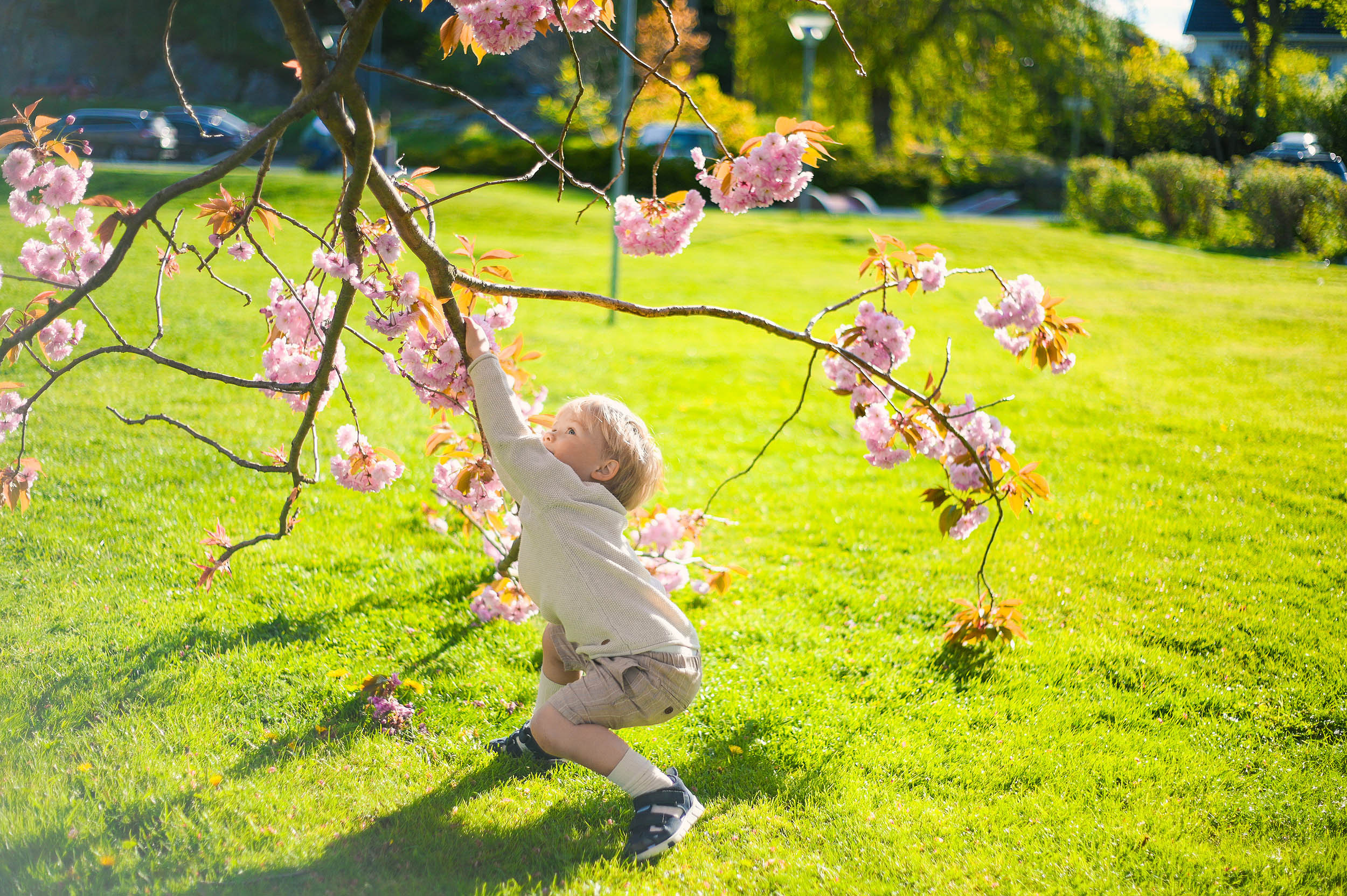 Viki + 3🐒🐒🐒. Family and wedding photographer in Norway Bublik Polina