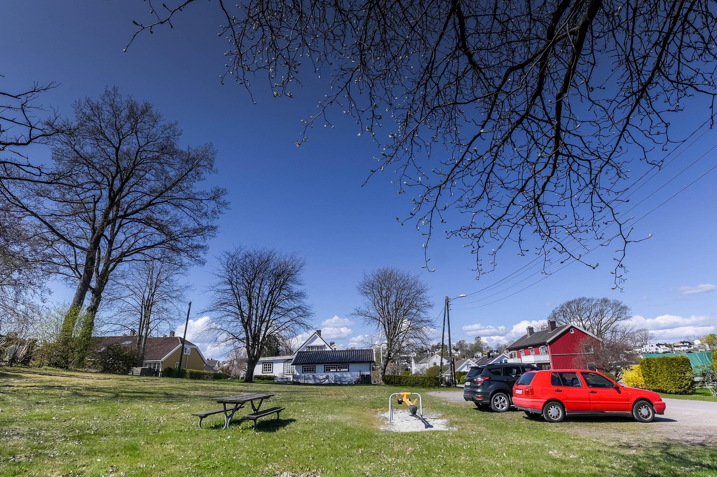 -2-. Family and wedding photographer in Norway Bublik Polina