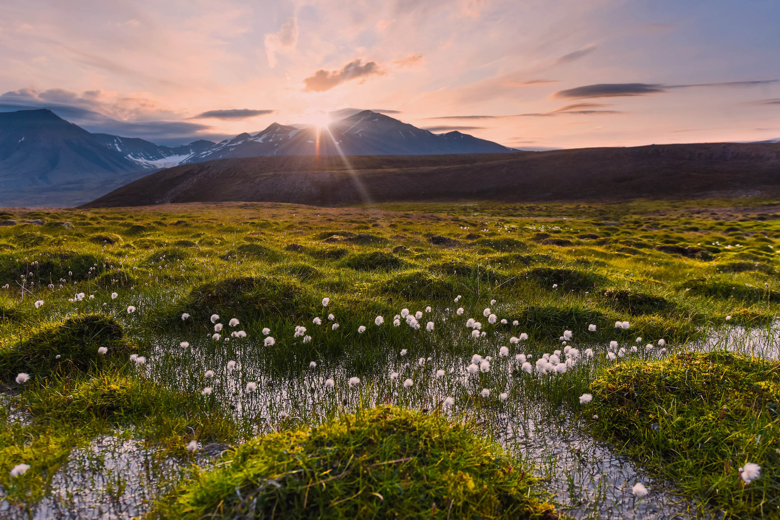 Svalbard. Summer. Family and wedding photographer in Norway Bublik Polina