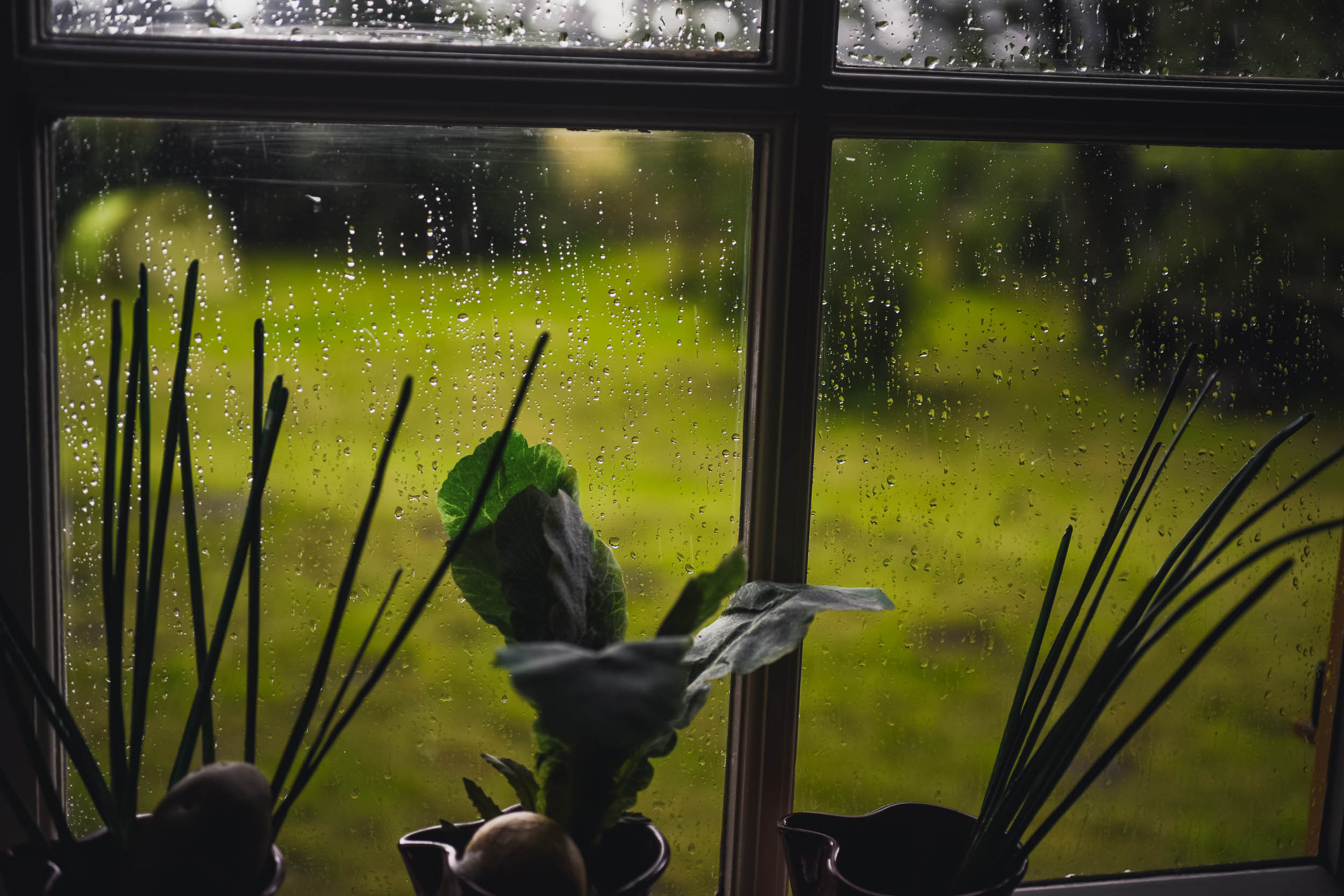 Kseniya and Kurt. Netherlands. Family and wedding photographer in Norway Bublik Polina