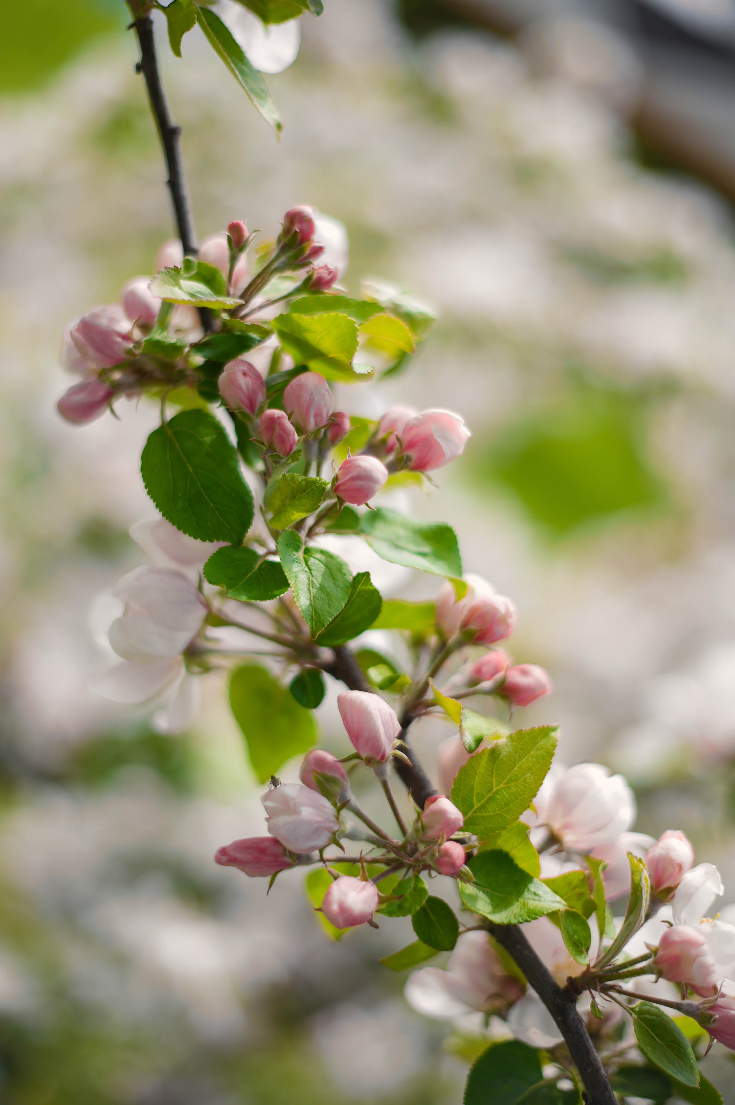 Janina +2❤️. Family and wedding photographer in Norway Bublik Polina