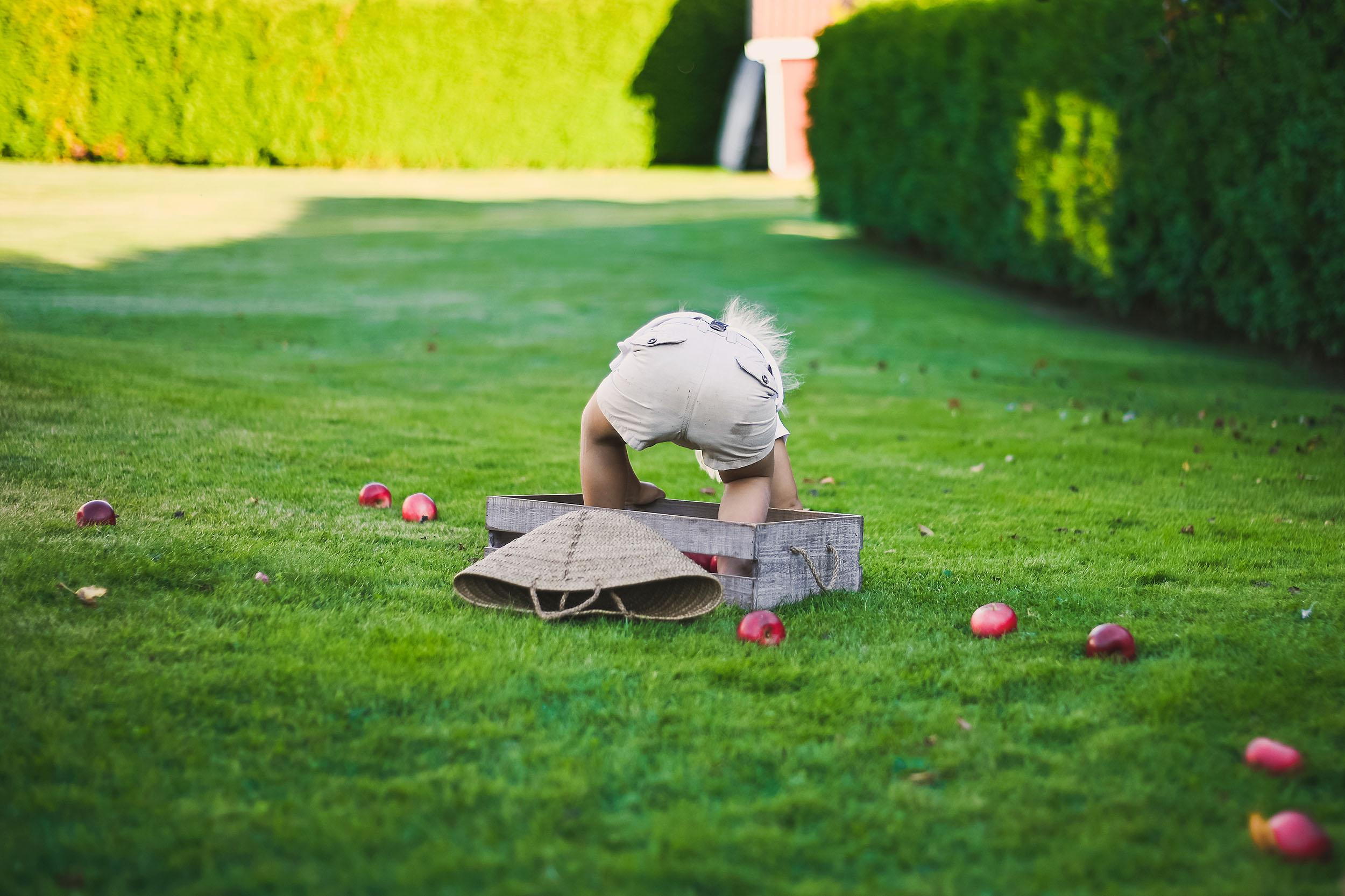 Summer. Family and wedding photographer in Norway Bublik Polina