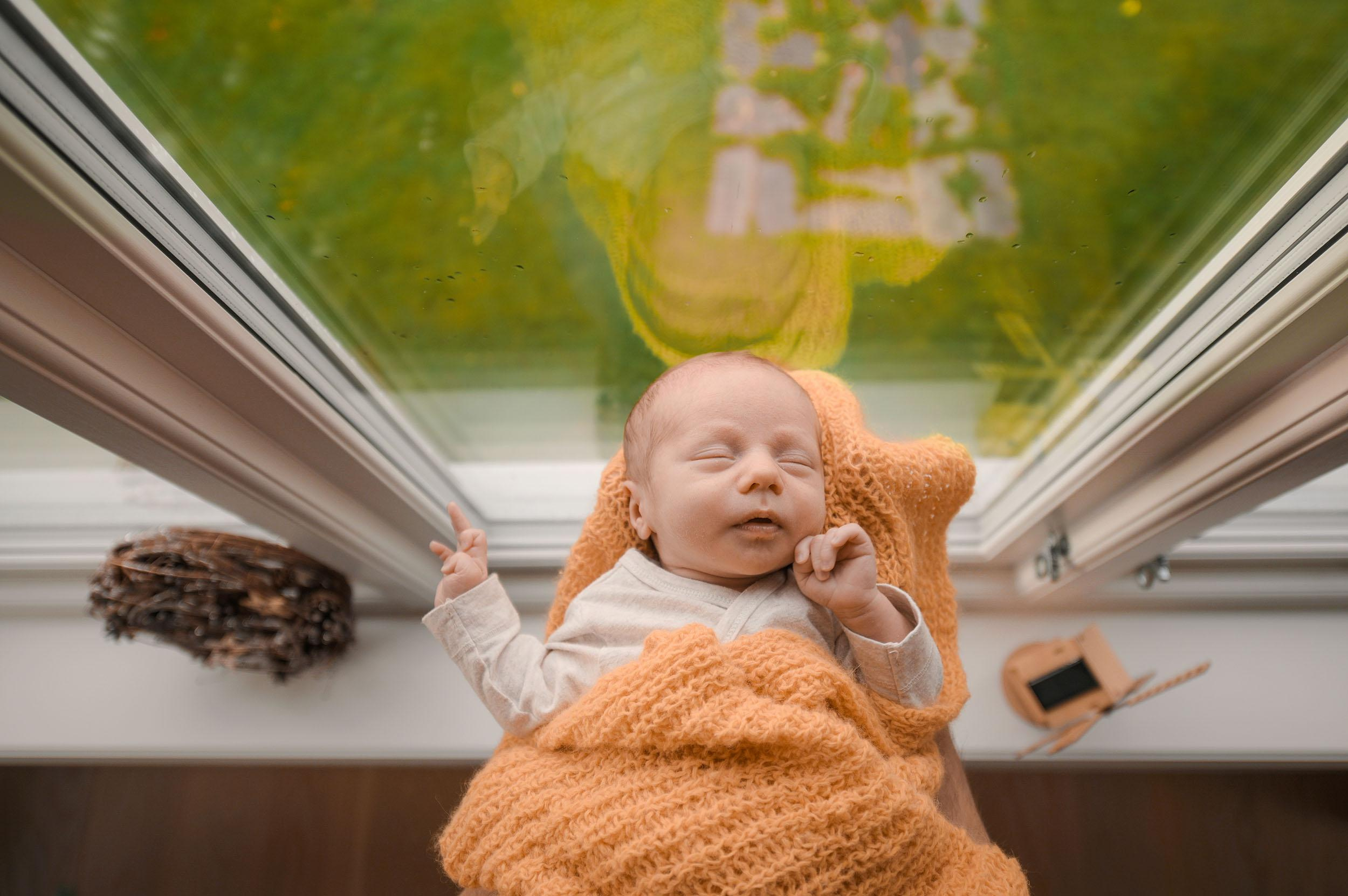 Newton. Family and wedding photographer in Norway Bublik Polina