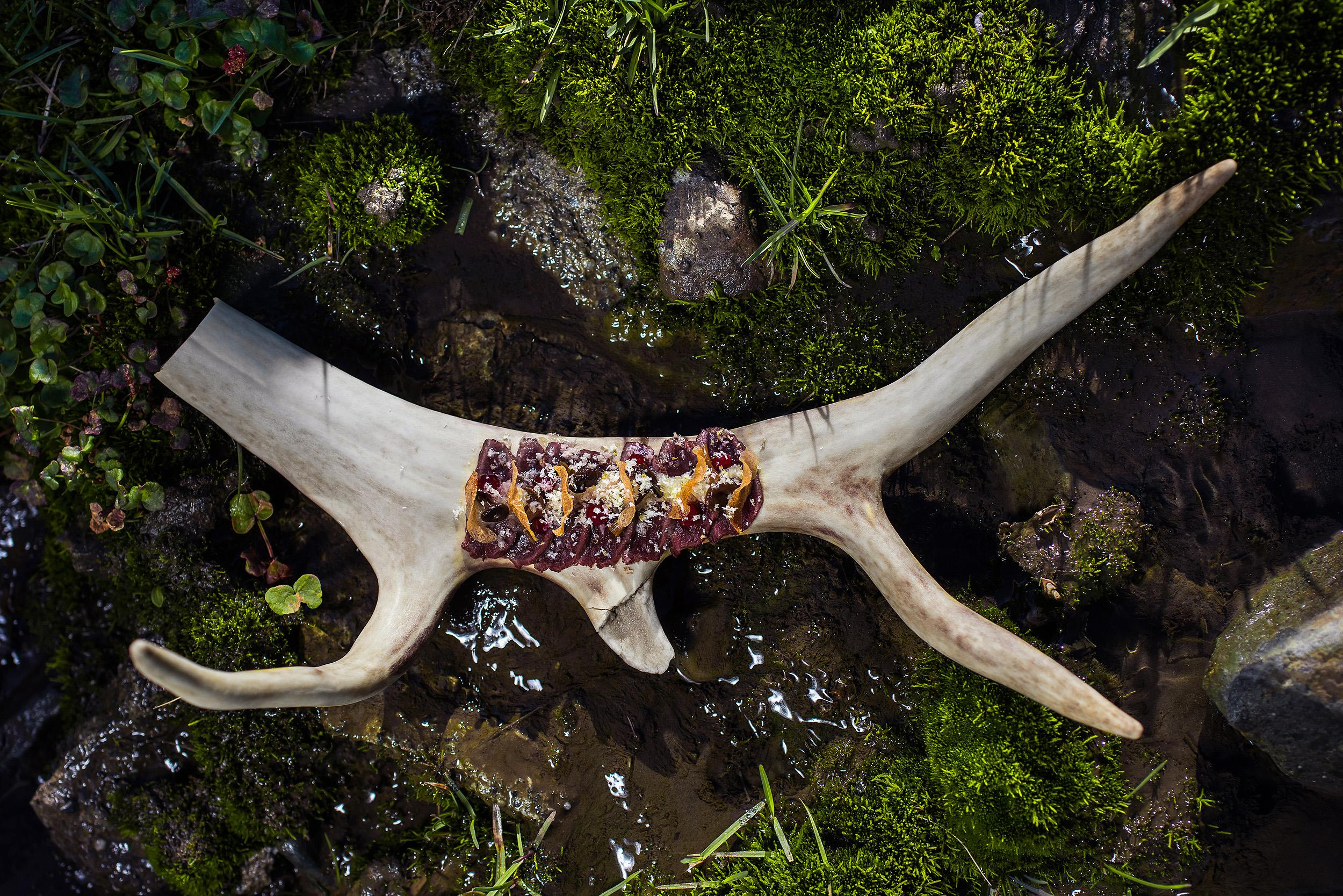 Dishes. Family and wedding photographer in Norway Bublik Polina