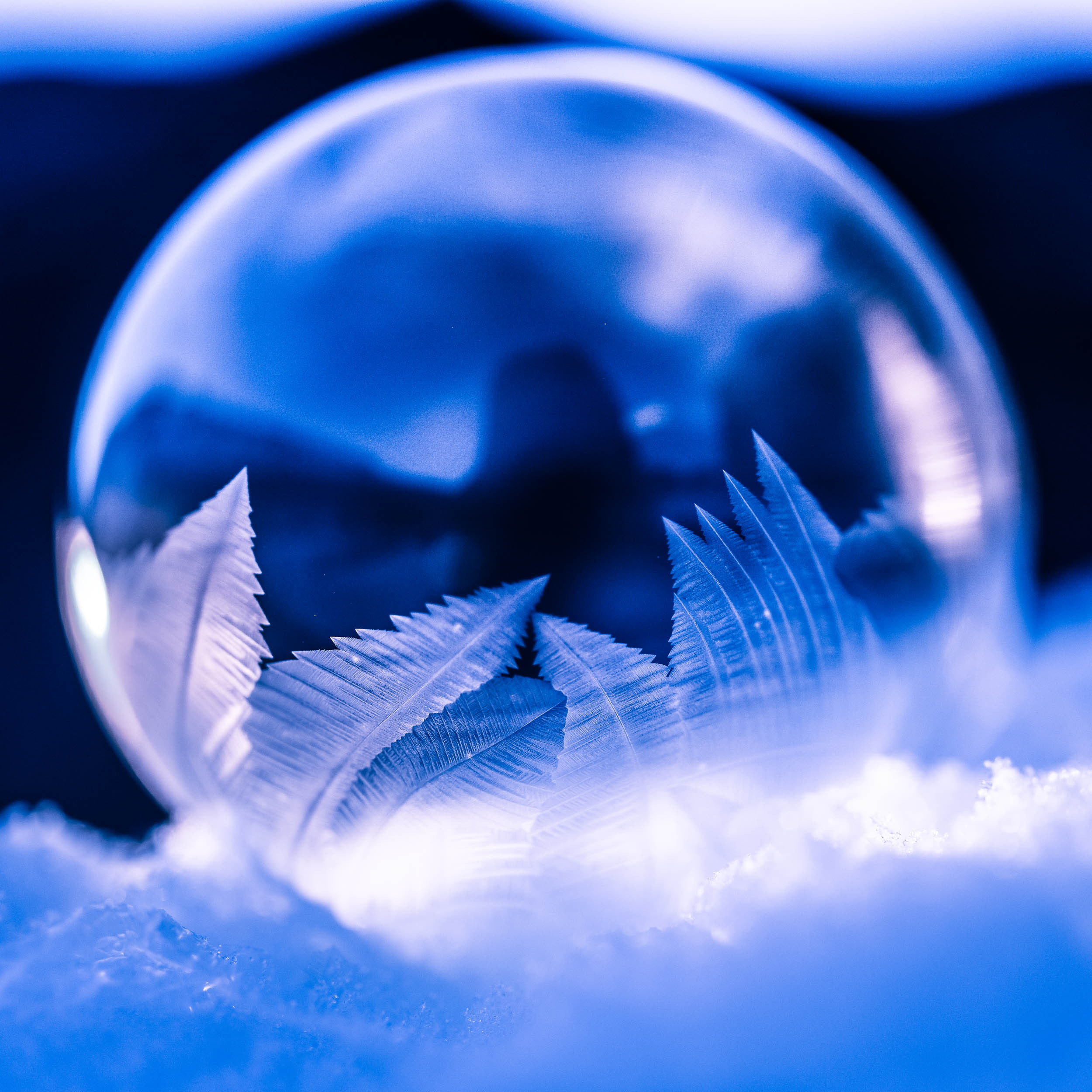 Svalbard. Winter. Day. Family and wedding photographer in Norway Bublik Polina