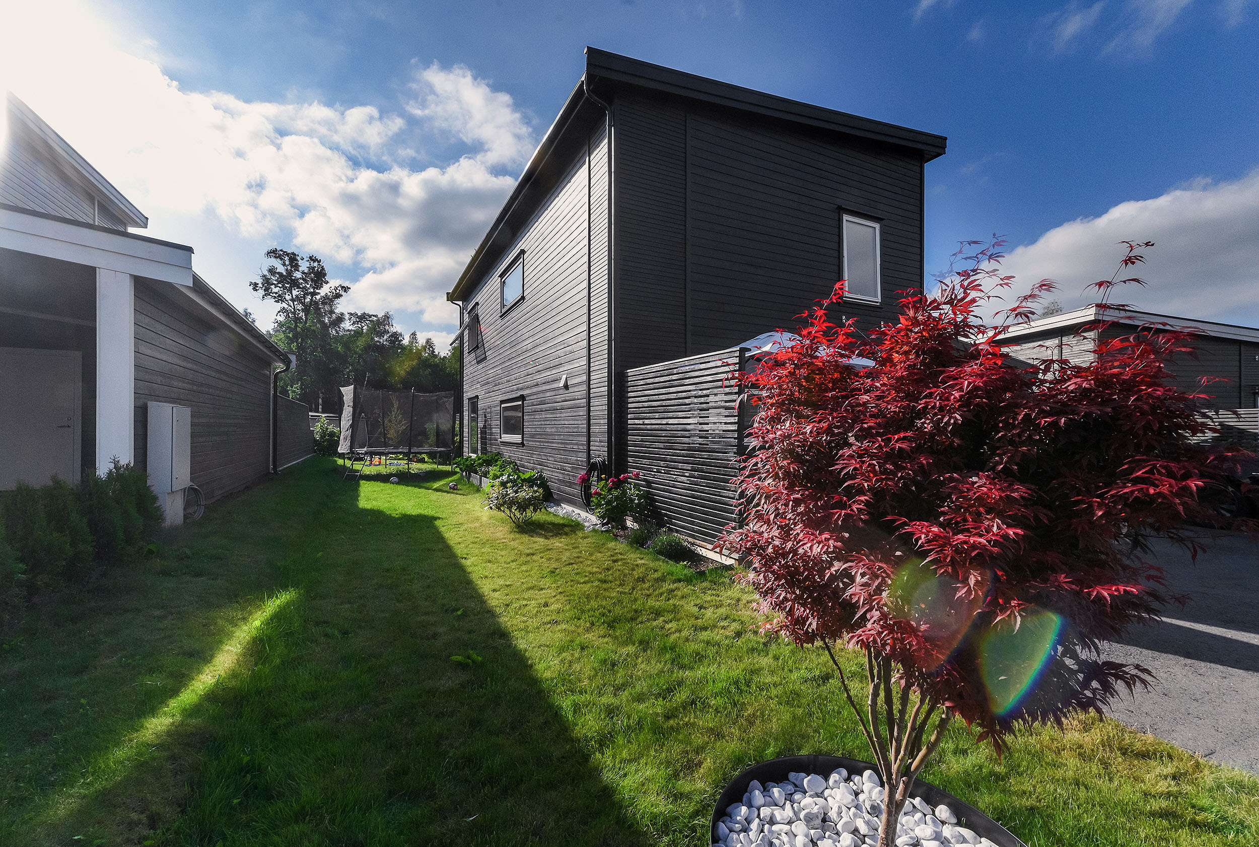 -3-. Family and wedding photographer in Norway Bublik Polina