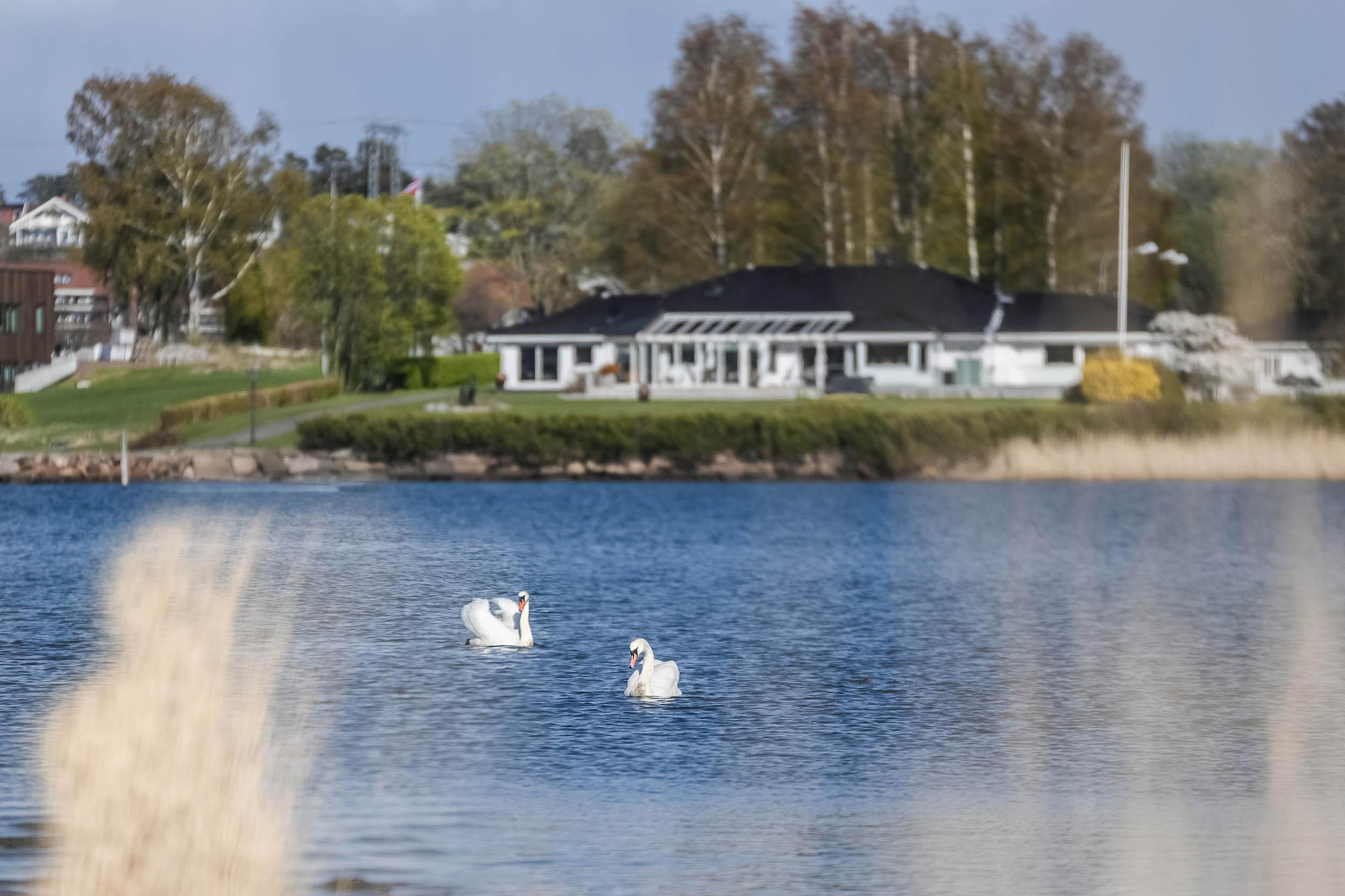 -2-. Family and wedding photographer in Norway Bublik Polina