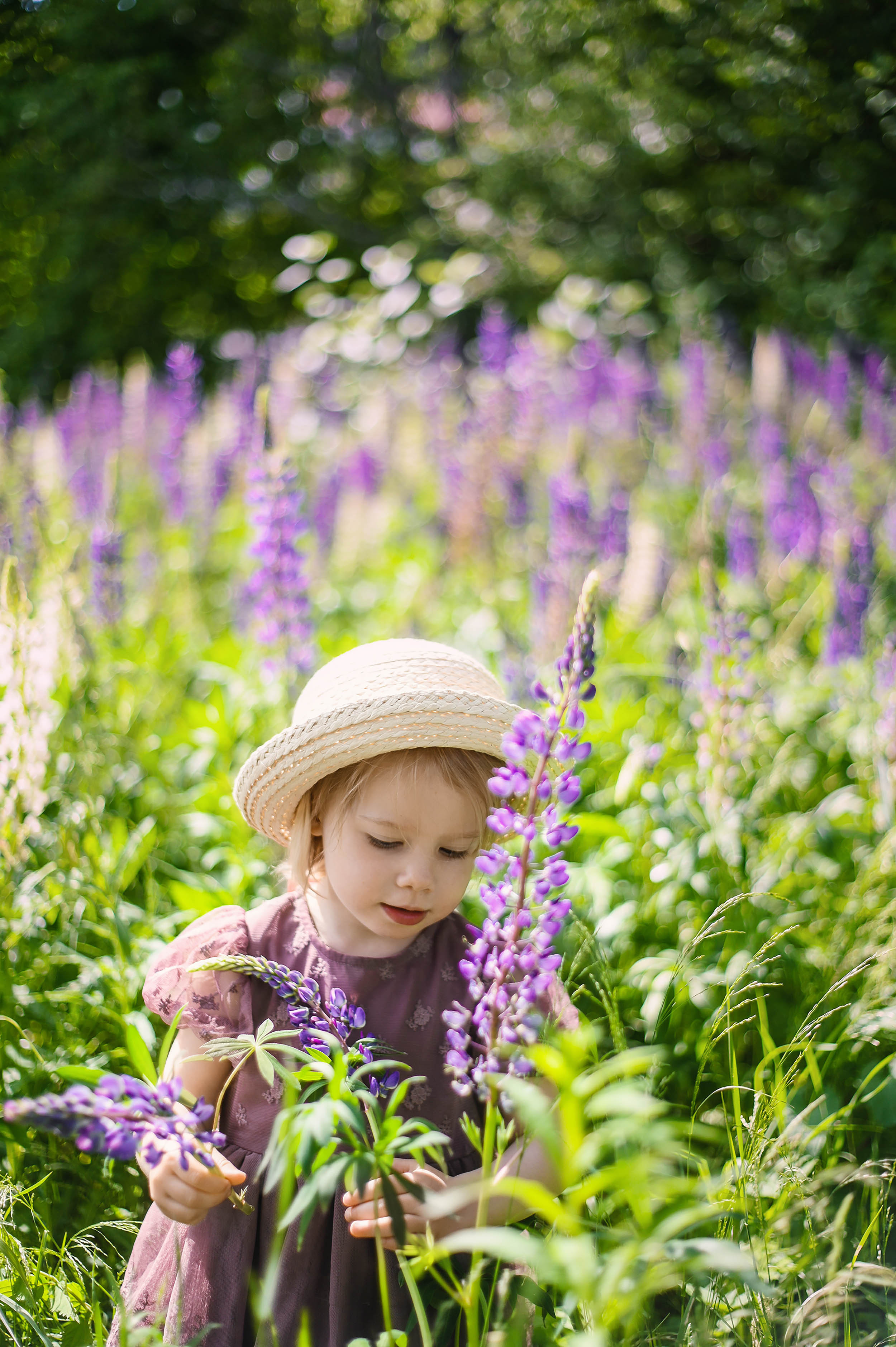 Lupin. Family and wedding photographer in Norway Bublik Polina