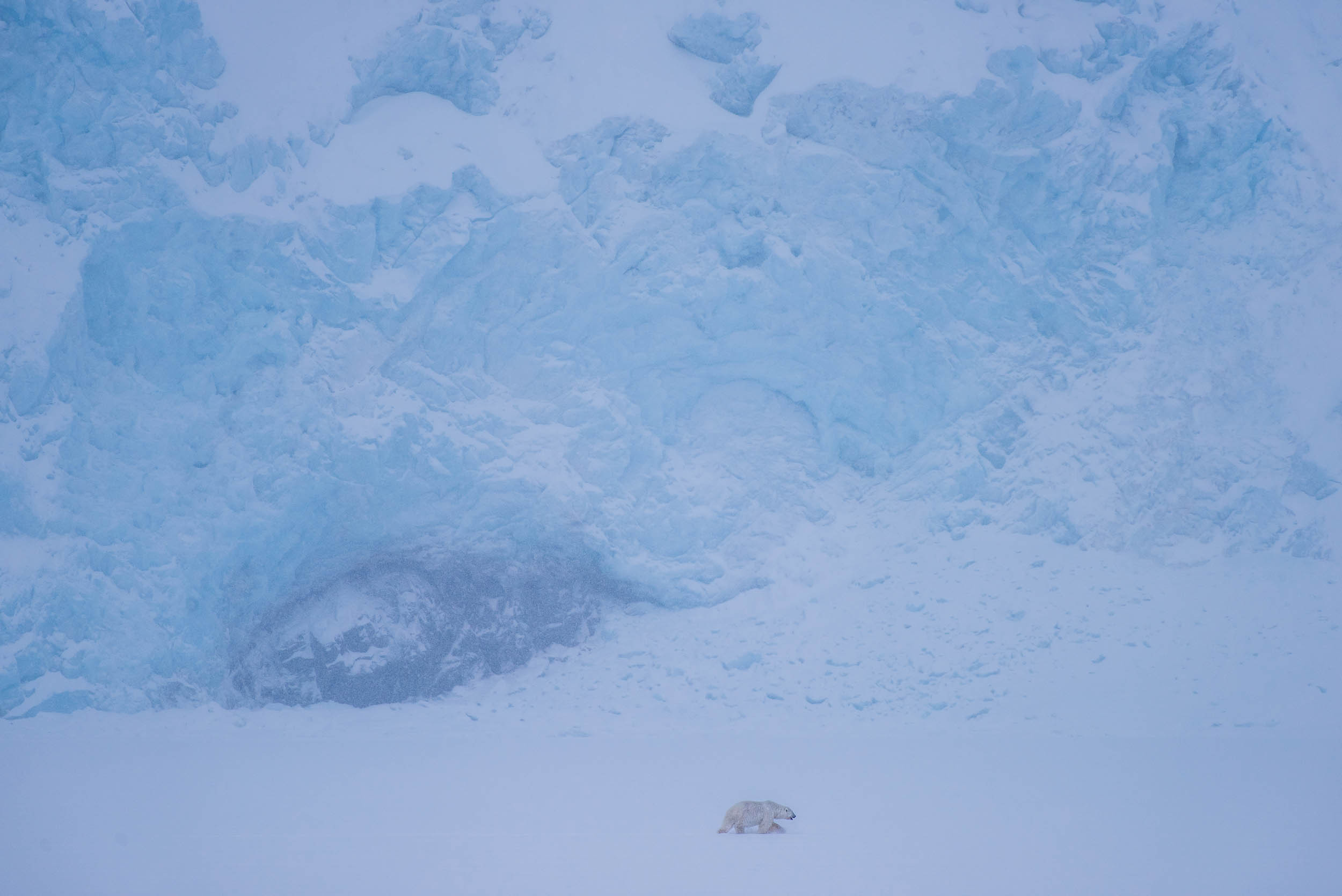 Svalbard. Winter. Day. Family and wedding photographer in Norway Bublik Polina