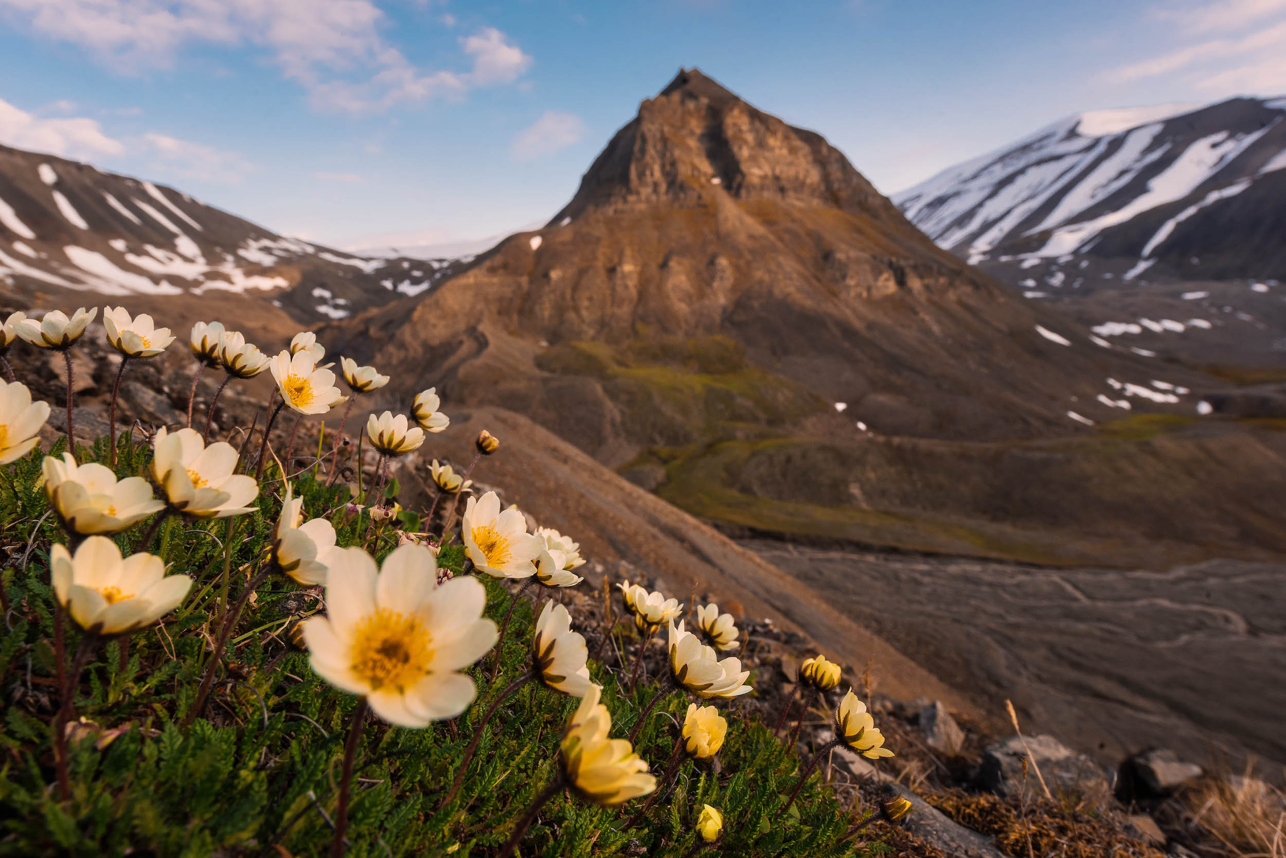 Svalbard. Summer. Family and wedding photographer in Norway Bublik Polina