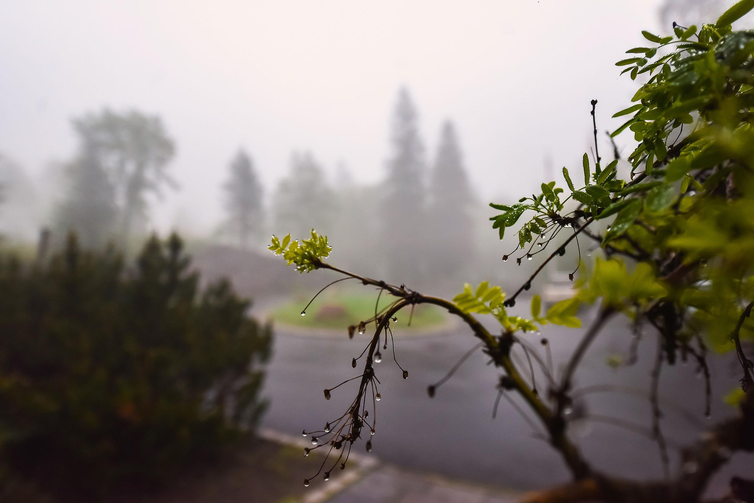 Christine and Bjørnar. Oslo. Family and wedding photographer in Norway Bublik Polina