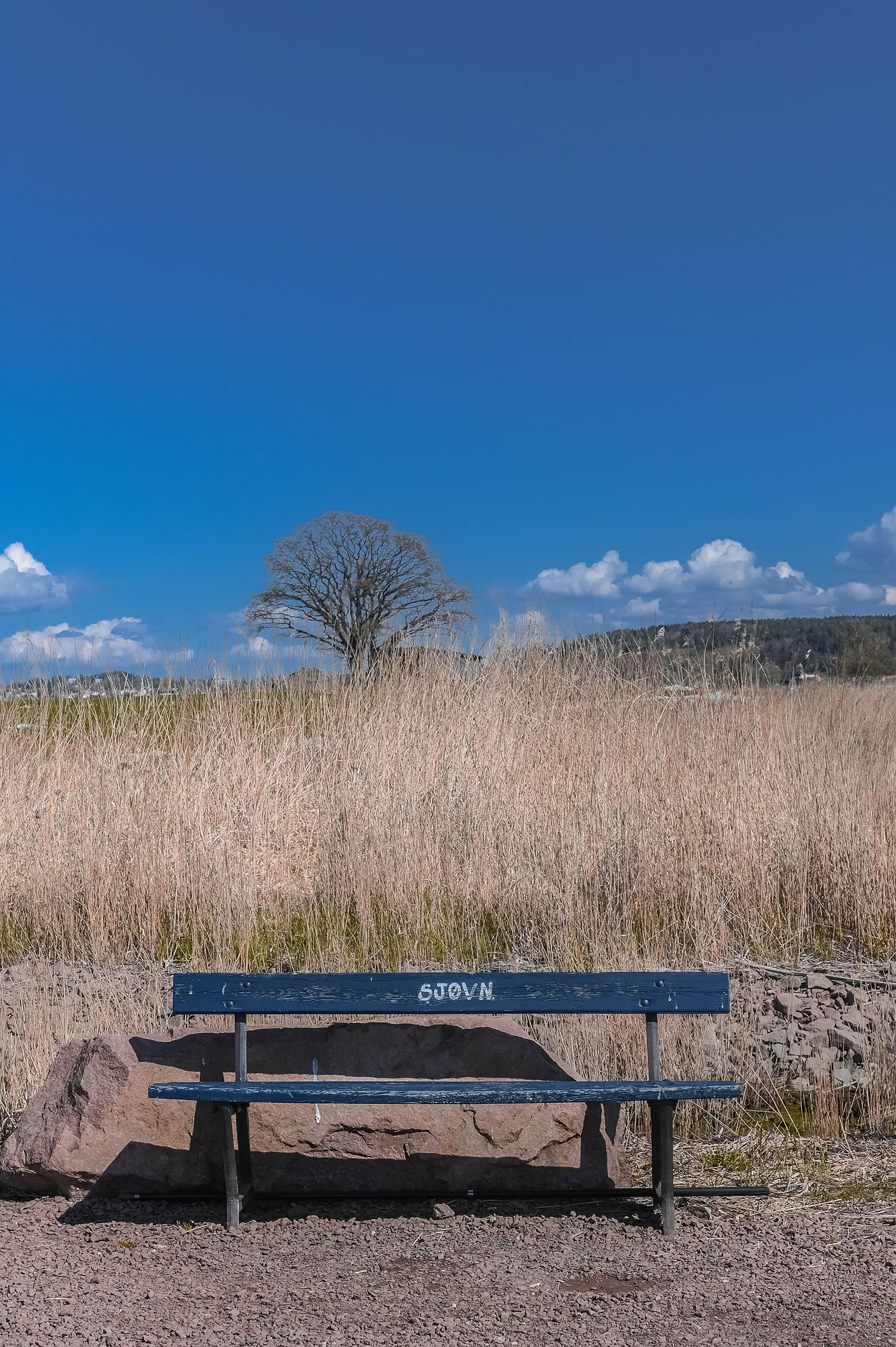 -2-. Family and wedding photographer in Norway Bublik Polina