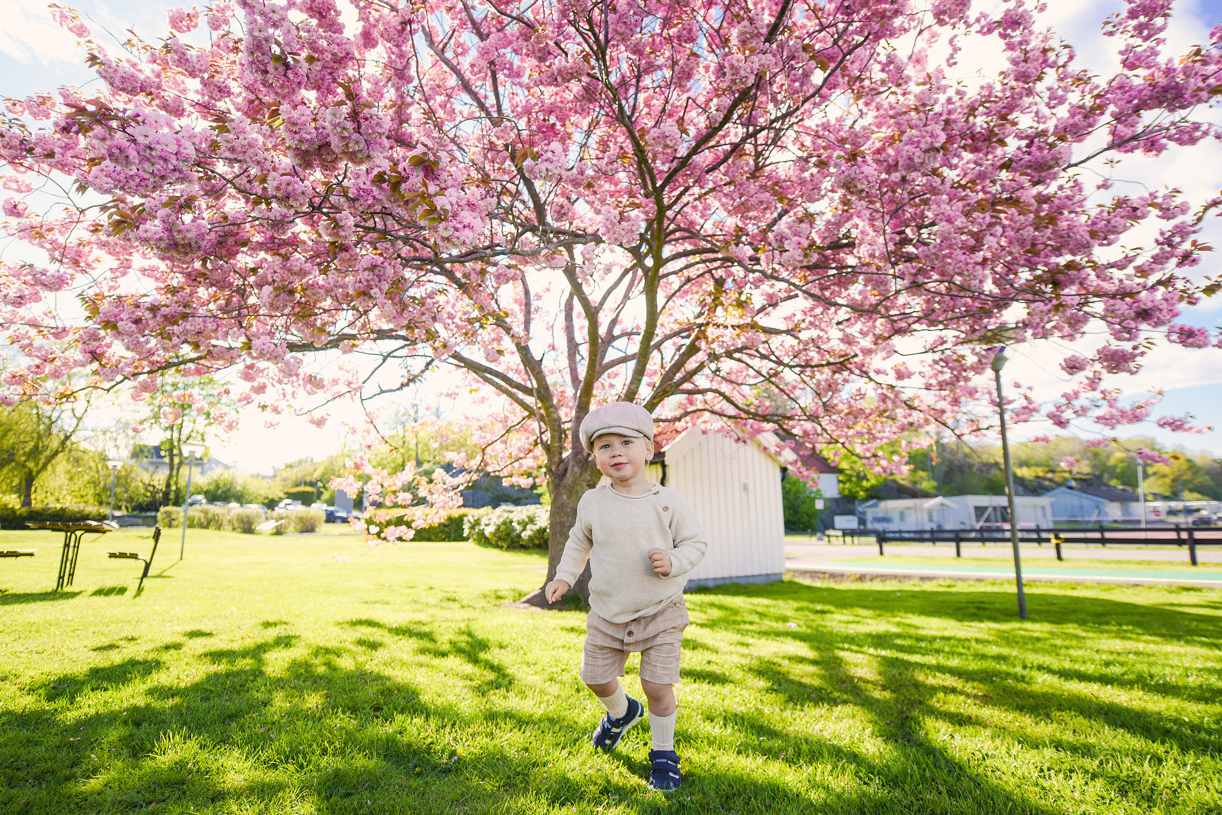 Viki + 3🐒🐒🐒. Family and wedding photographer in Norway Bublik Polina