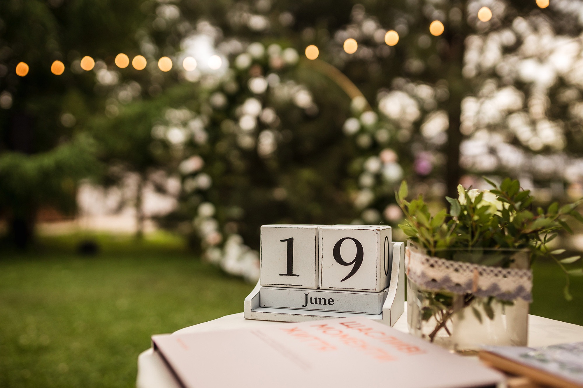 Наталія та Володимир. Весільний фотограф Сергій Шкрябій