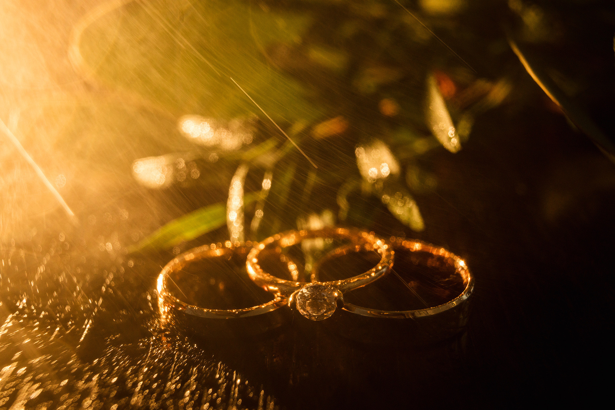 Наталія та Володимир. Весільний фотограф Сергій Шкрябій