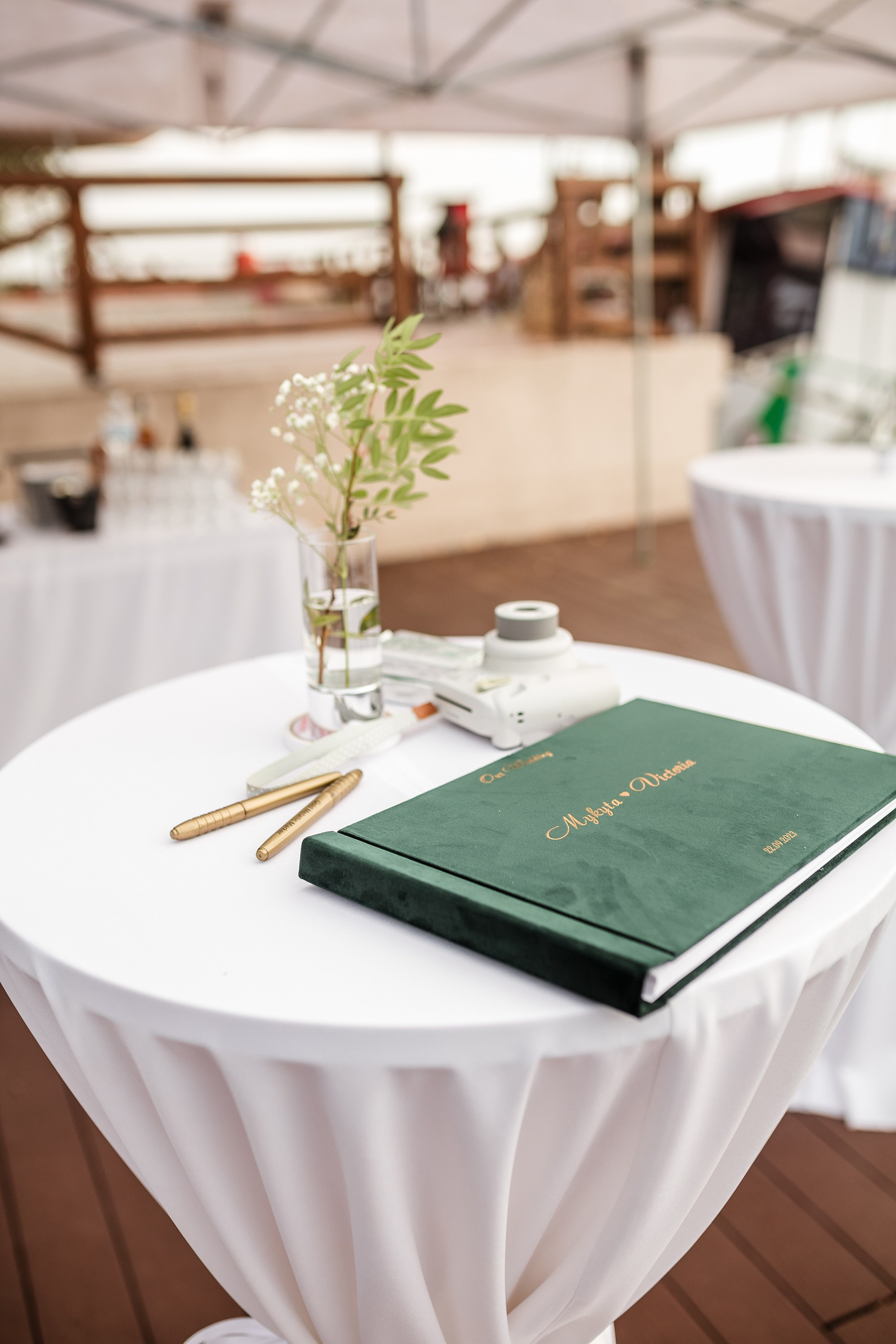 Вікторія та Микита. Весільний фотограф Сергій Шкрябій