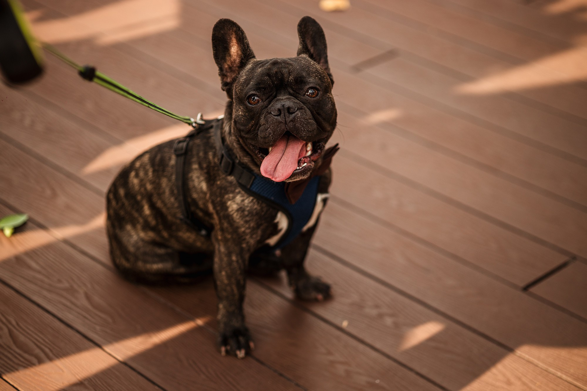 Вікторія та Микита. Весільний фотограф Сергій Шкрябій