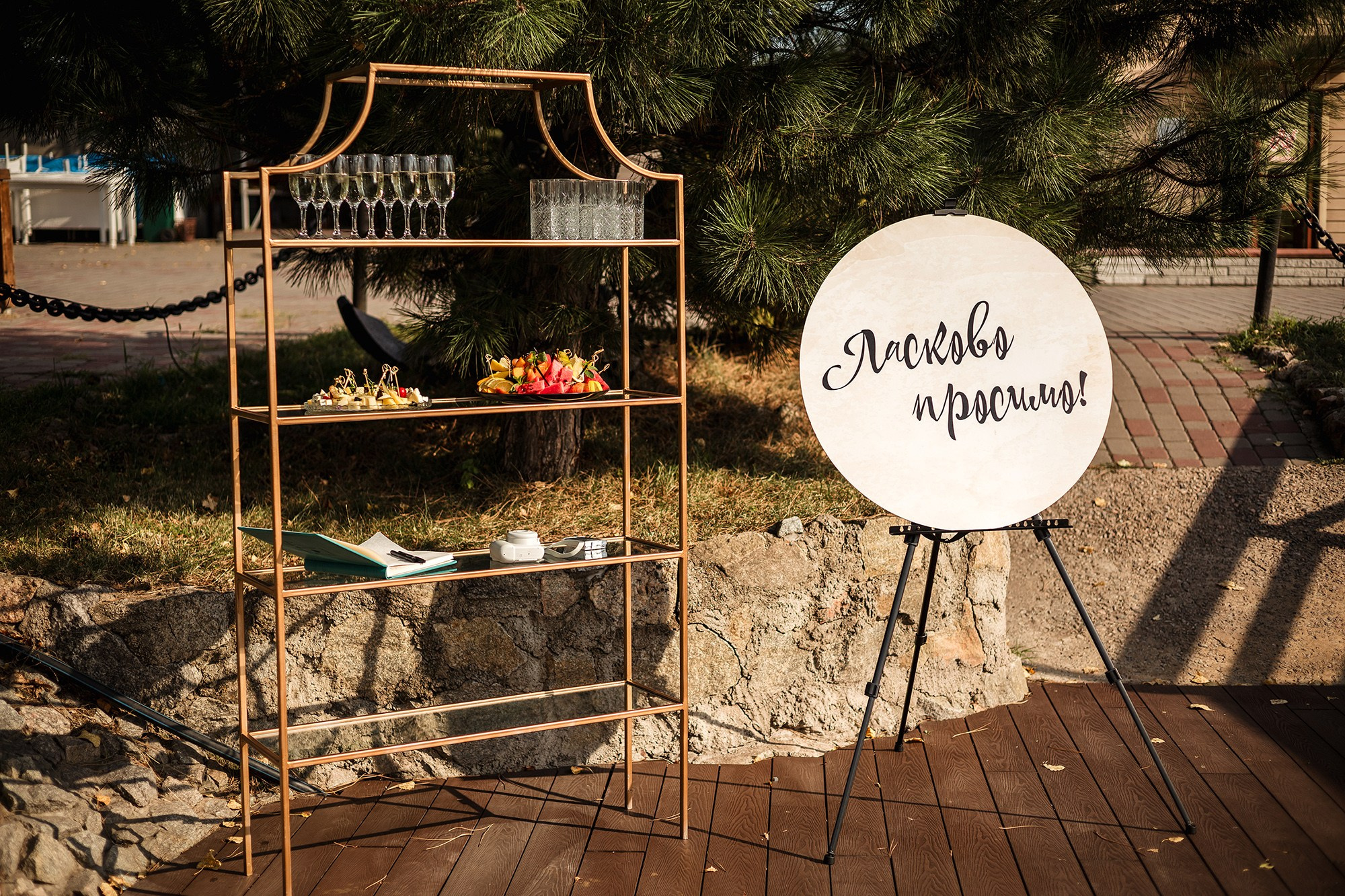 Ніка та Ігор. Весільний фотограф Сергій Шкрябій