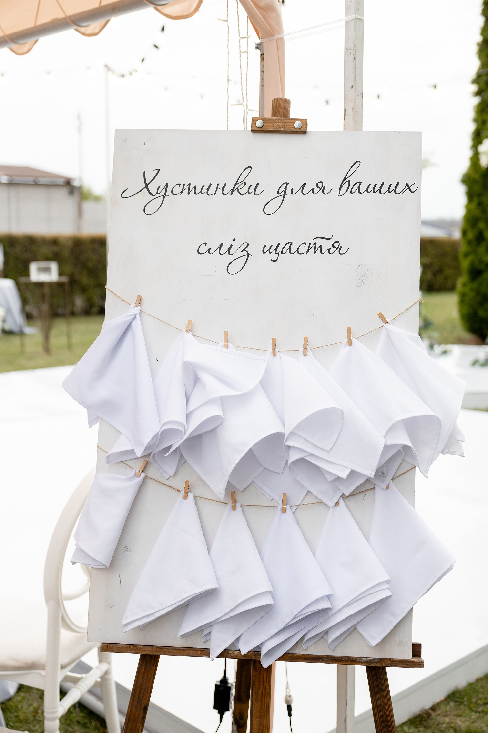 Даша та Влад. Весільний фотограф Сергій Шкрябій