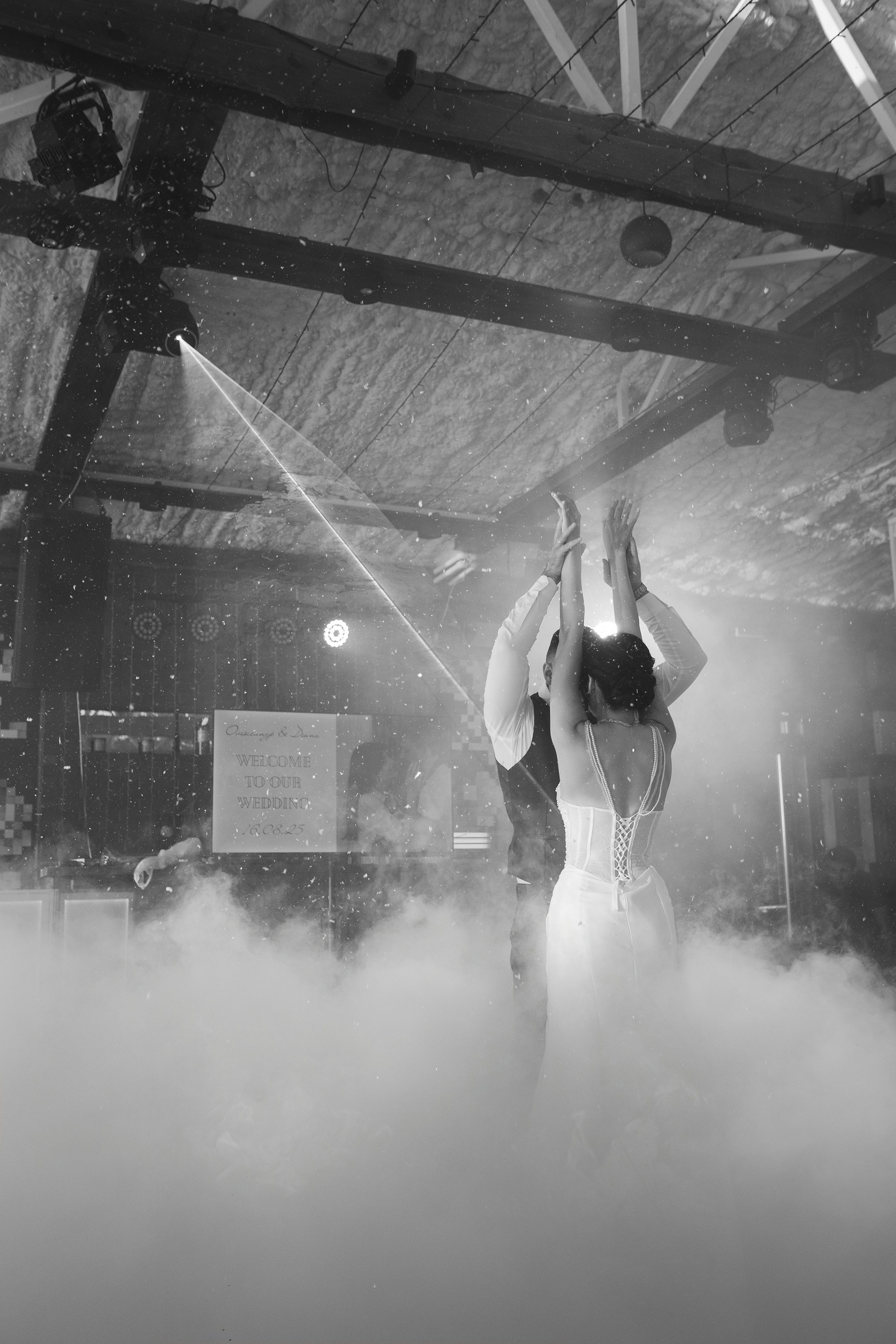 Діана та Олександр. Весільний фотограф Сергій Шкрябій