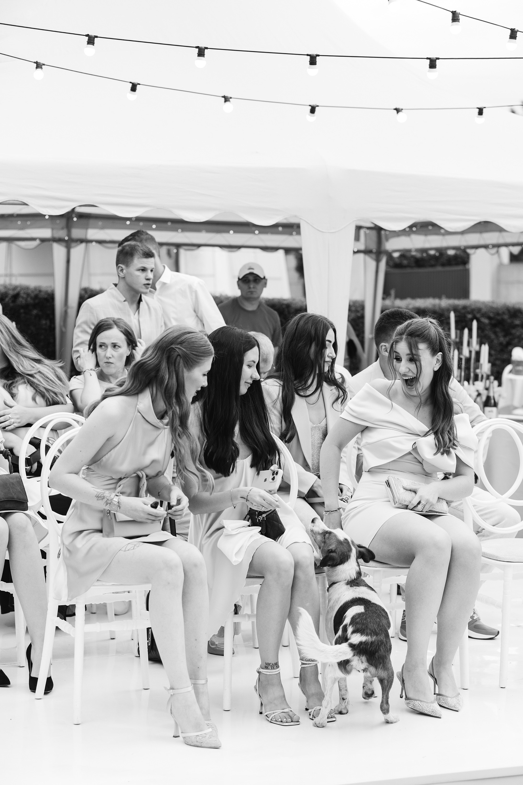 Даша та Влад. Весільний фотограф Сергій Шкрябій