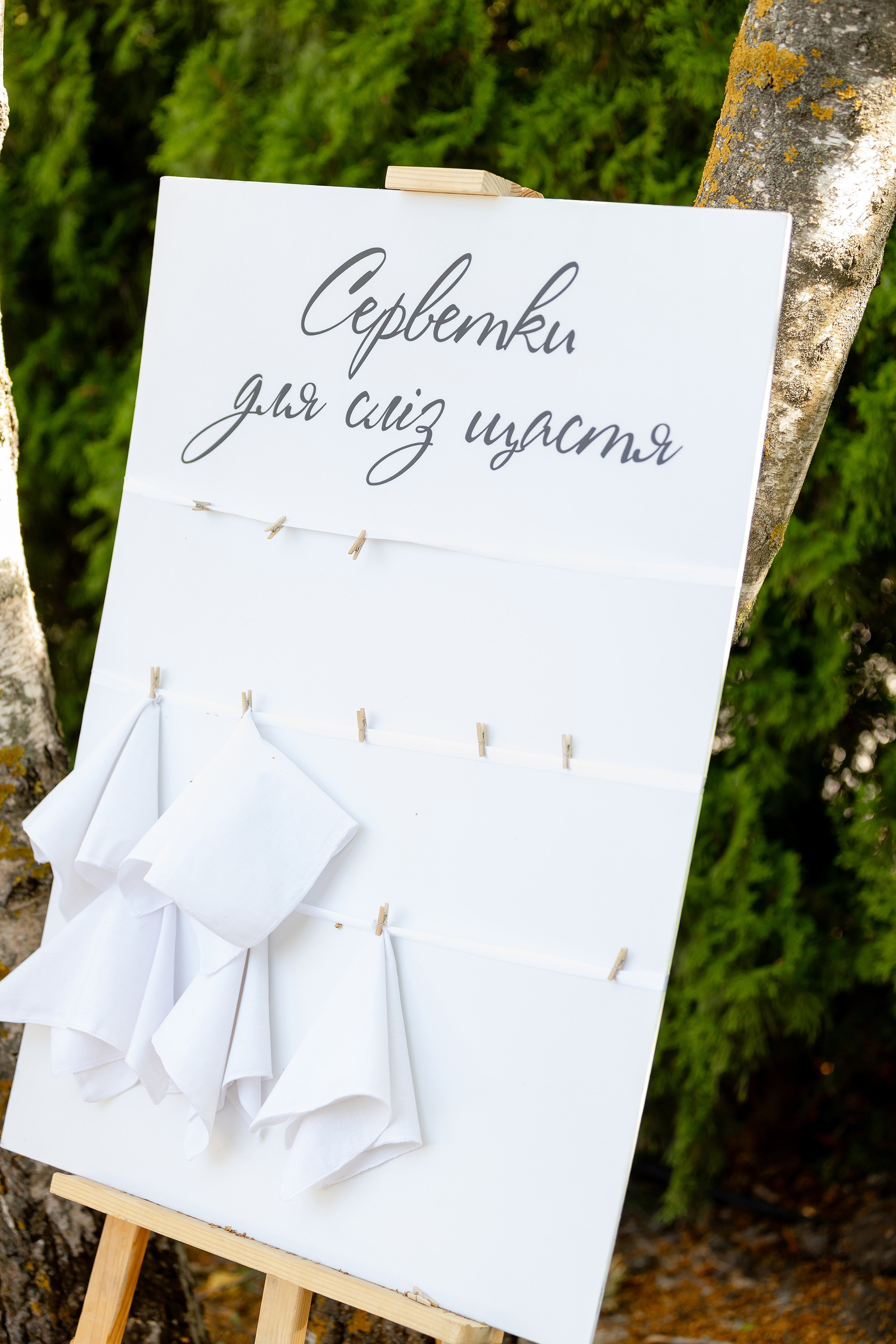 Олена та Іван. Весільний фотограф Сергій Шкрябій