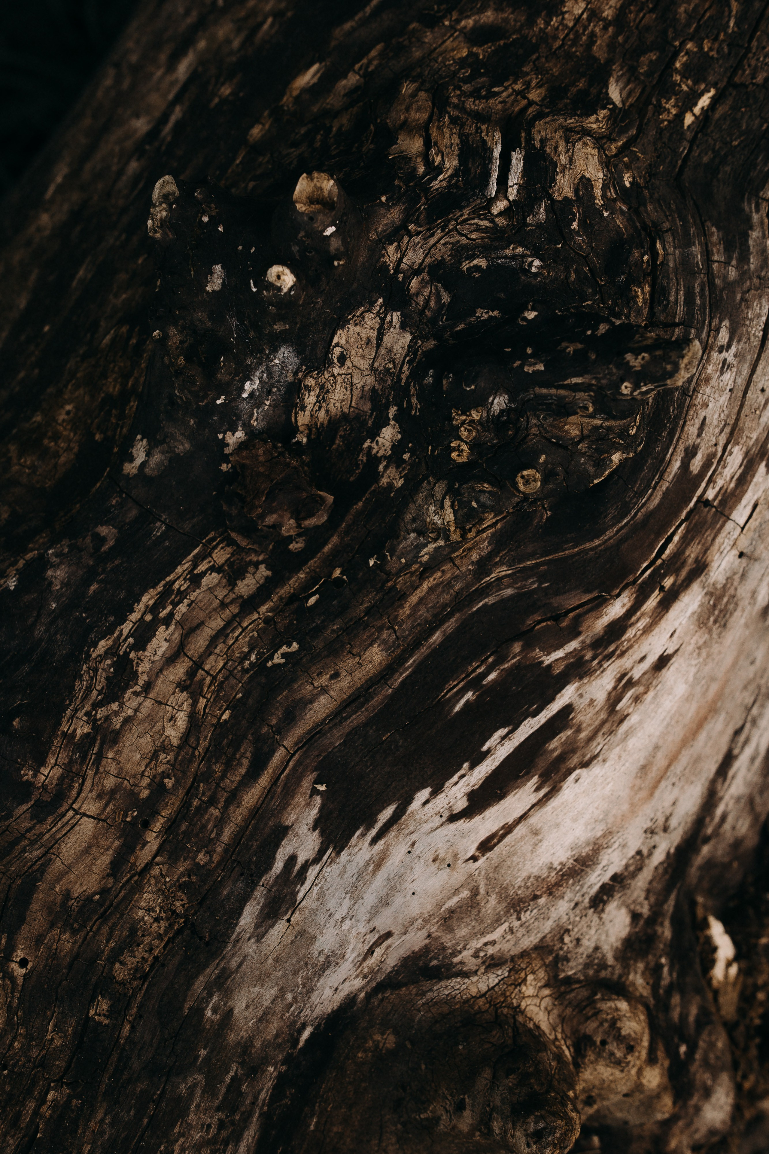 Dana. Фотограф Максим Остапенко | Кам'янець-Подільський | Львів | Київ