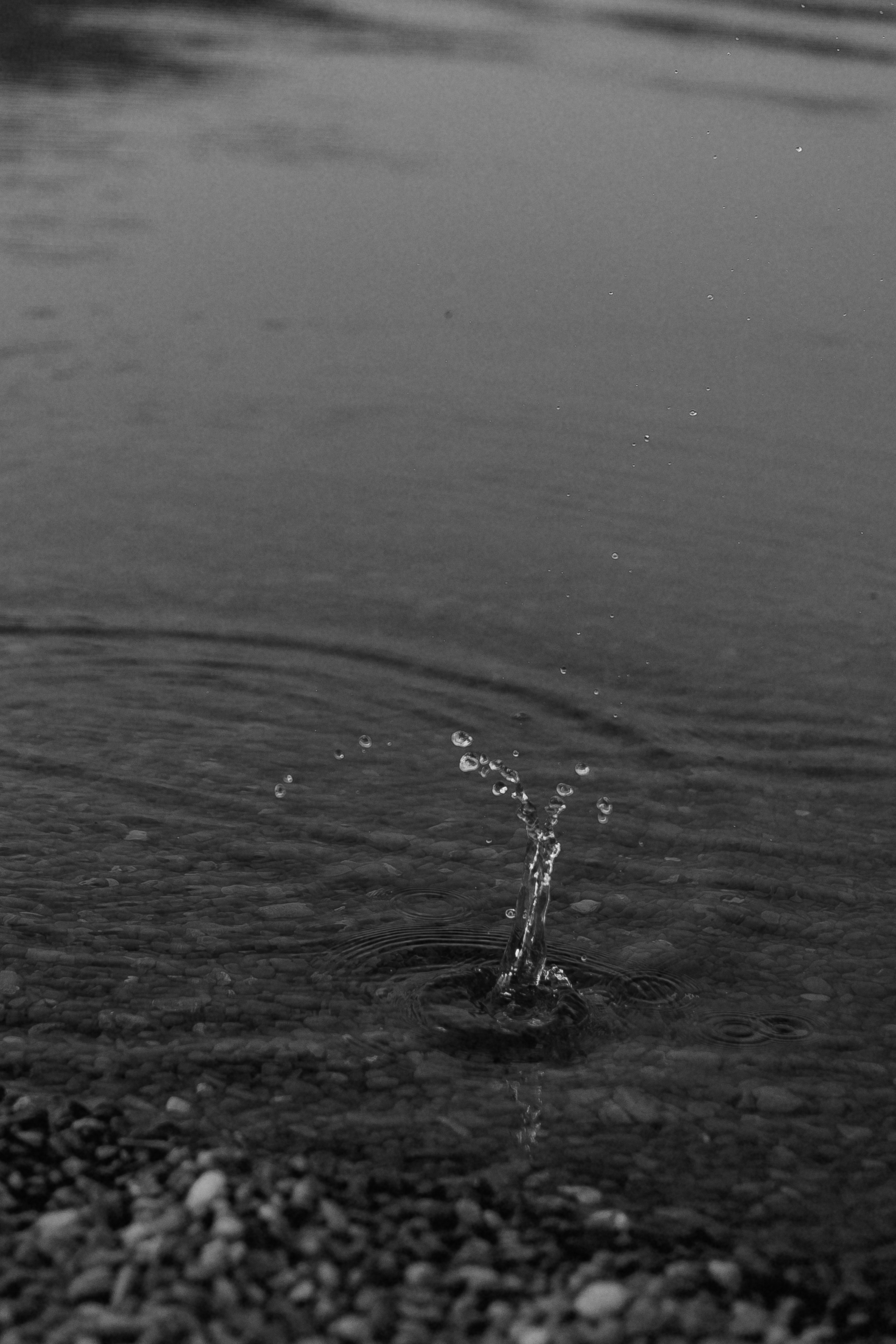 Dima & Vika & Mira. Фотограф Максим Остапенко | Кам'янець-Подільський | Львів | Київ