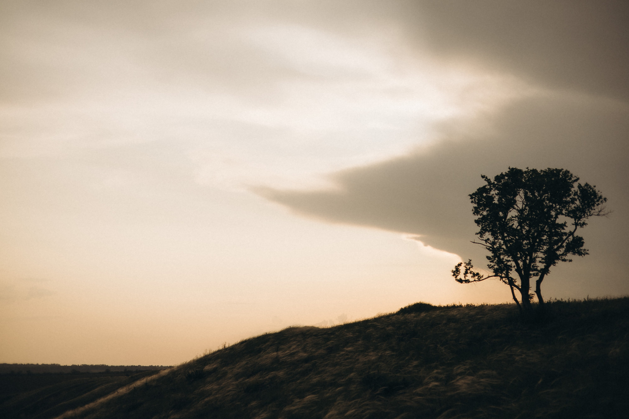 Alex. Фотограф Максим Остапенко | Кам'янець-Подільський | Львів | Київ