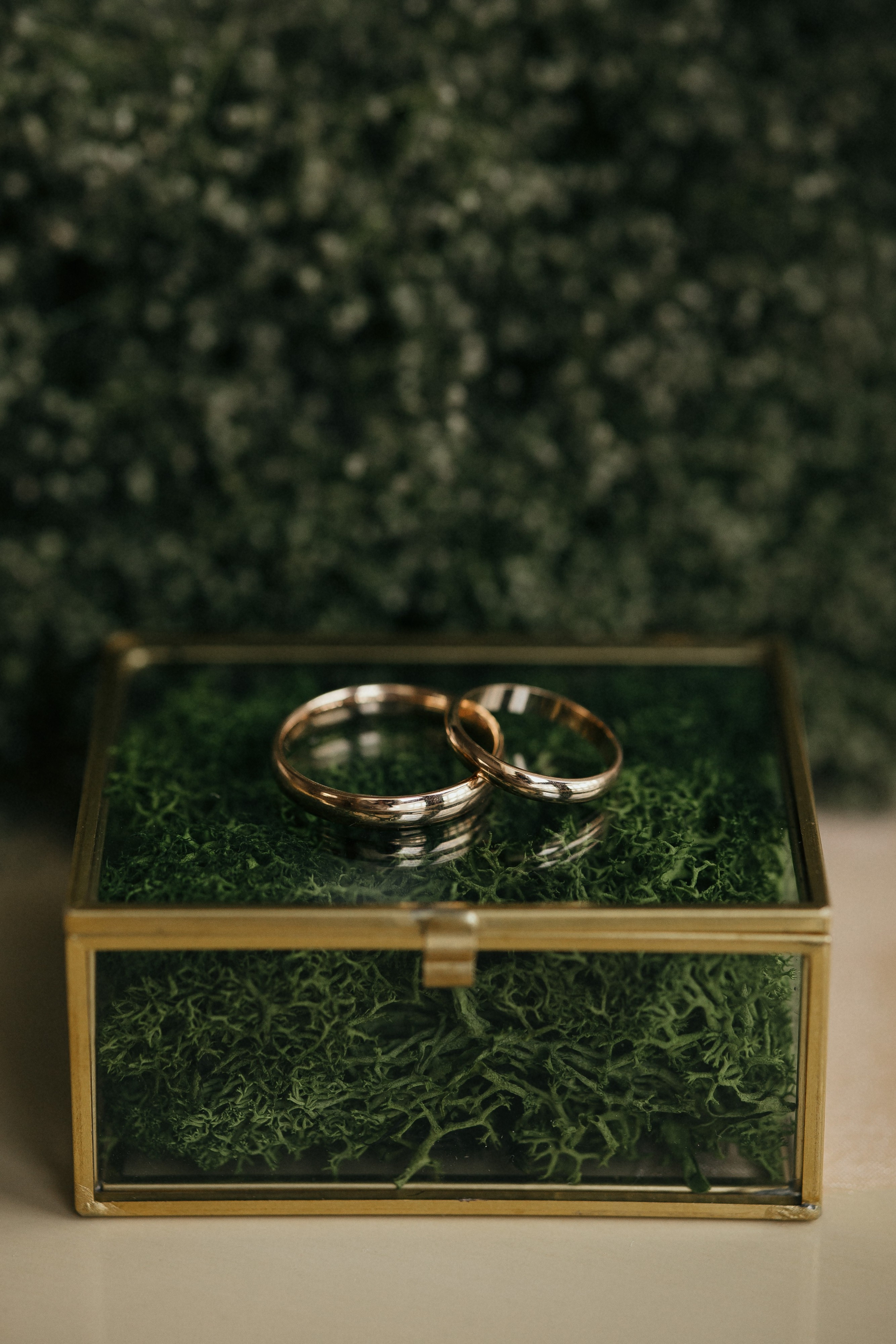 SOLO. Фотограф Максим Остапенко | Кам'янець-Подільський | Львів | Київ