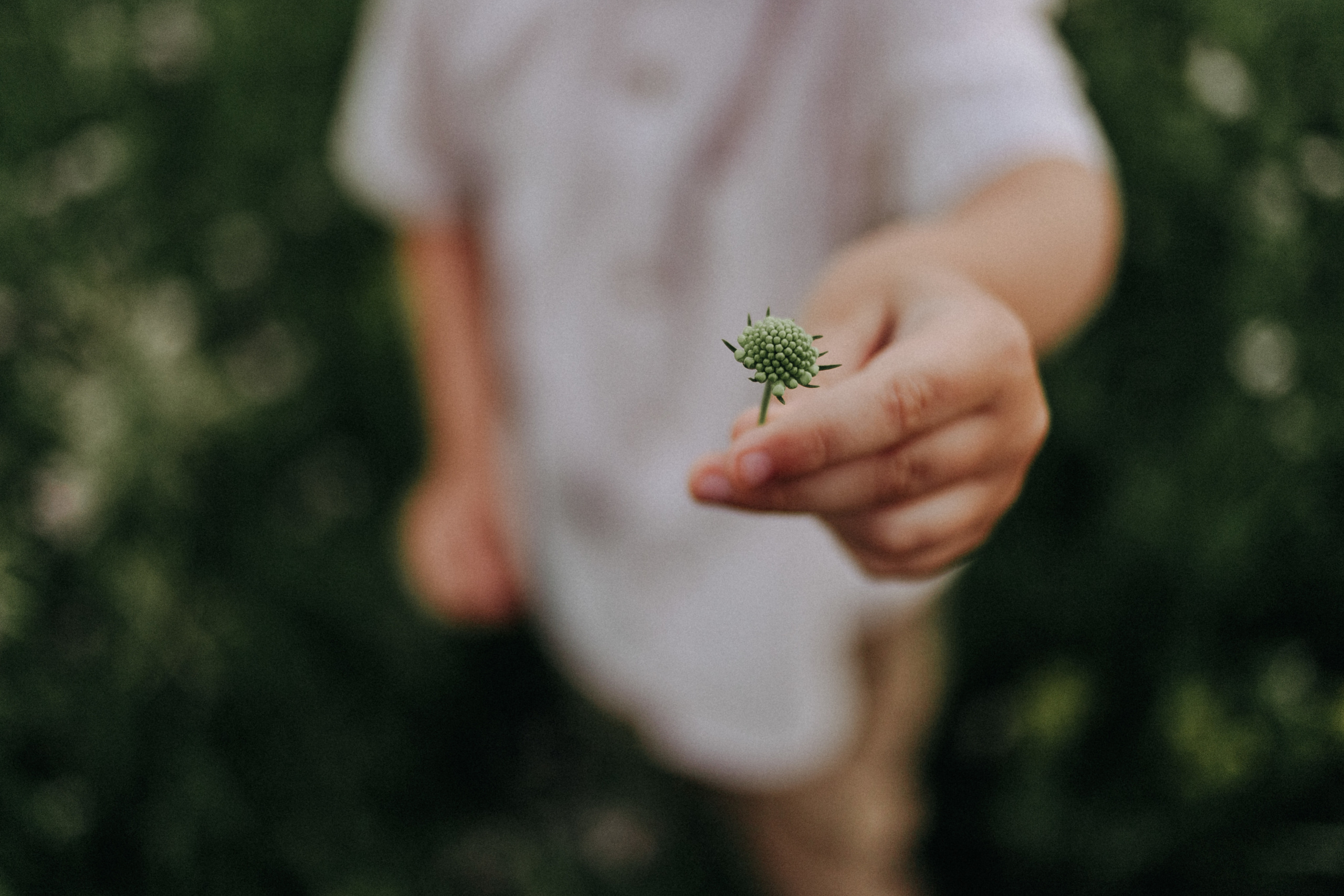 Anita & Dominik. Фотограф Максим Остапенко | Кам'янець-Подільський | Львів | Київ