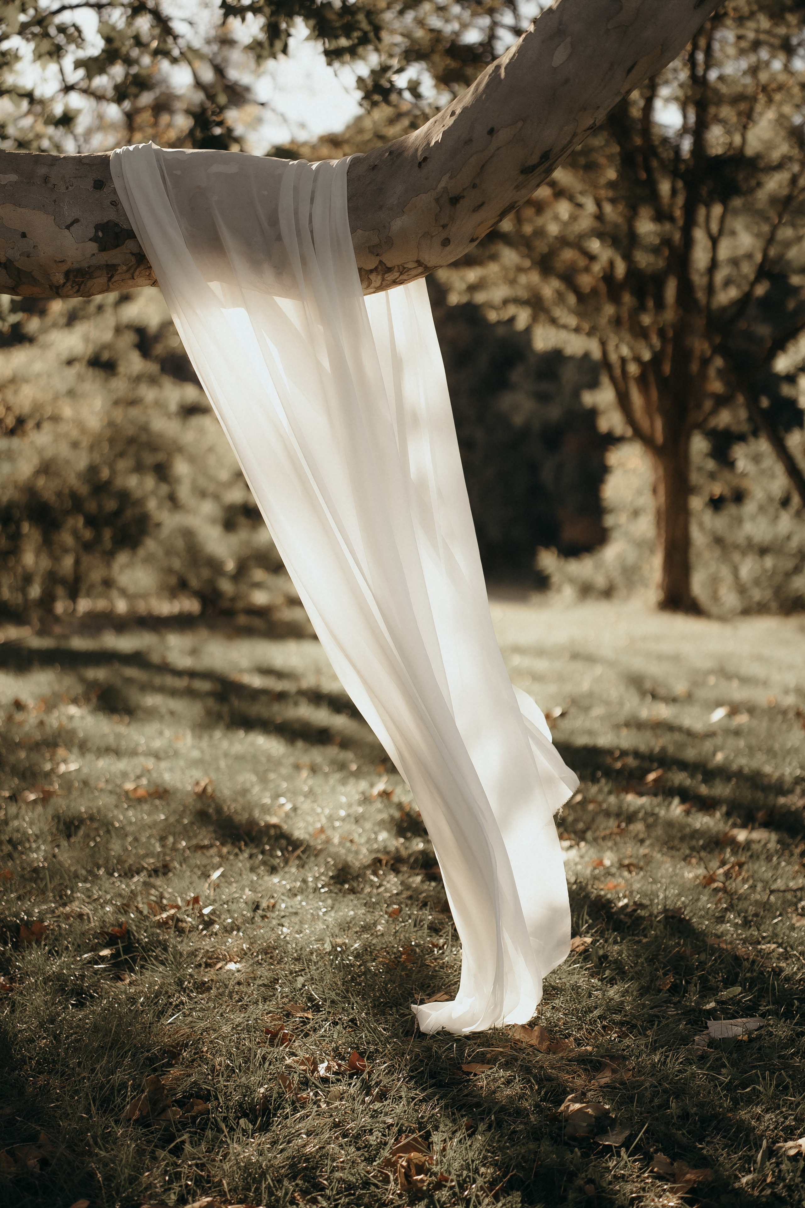 Dana. Фотограф Максим Остапенко | Кам'янець-Подільський | Львів | Київ