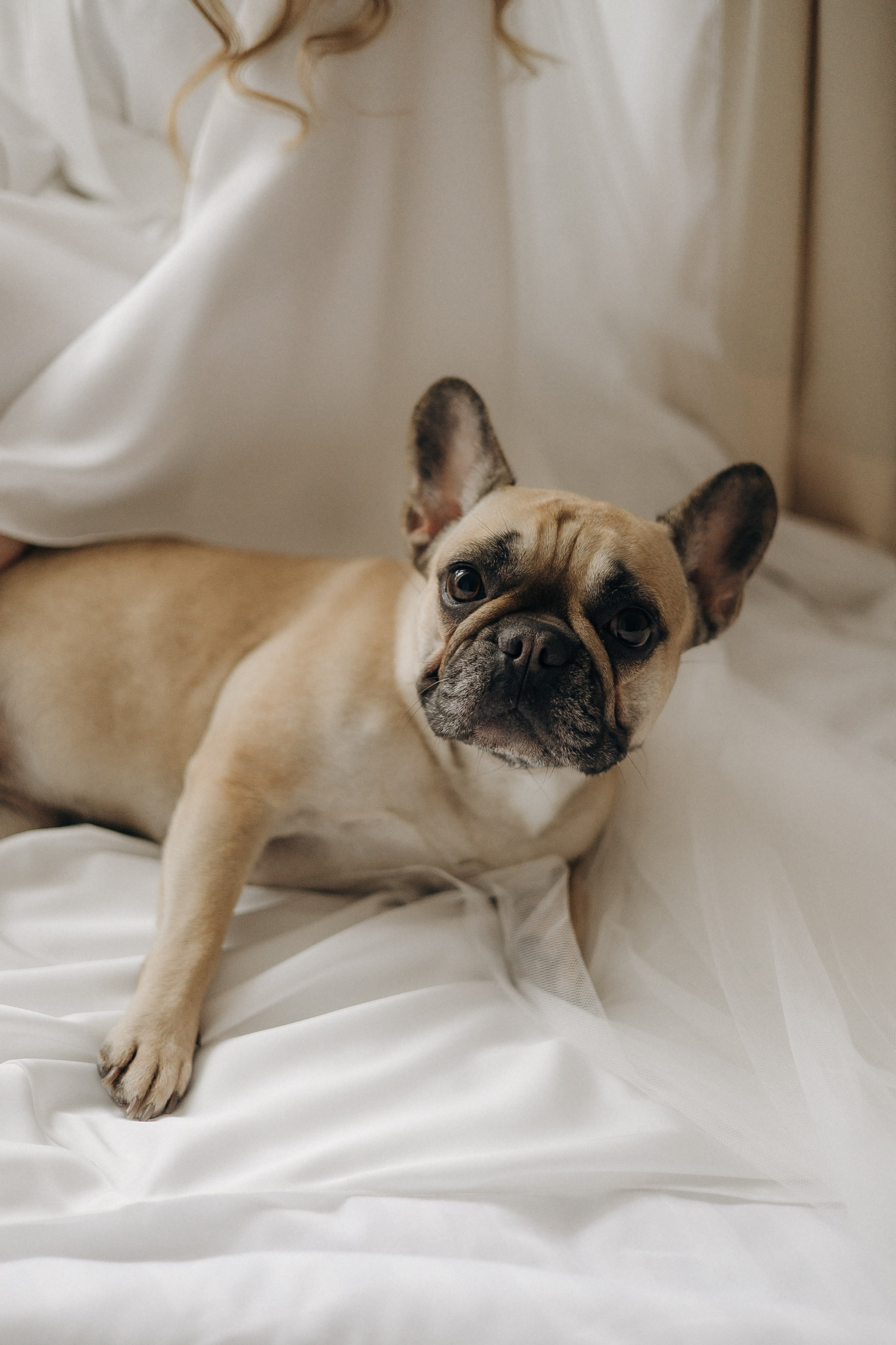 Мокрі плечі. Теплі серця. Фотограф Максим Остапенко | Кам'янець-Подільський | Львів | Київ