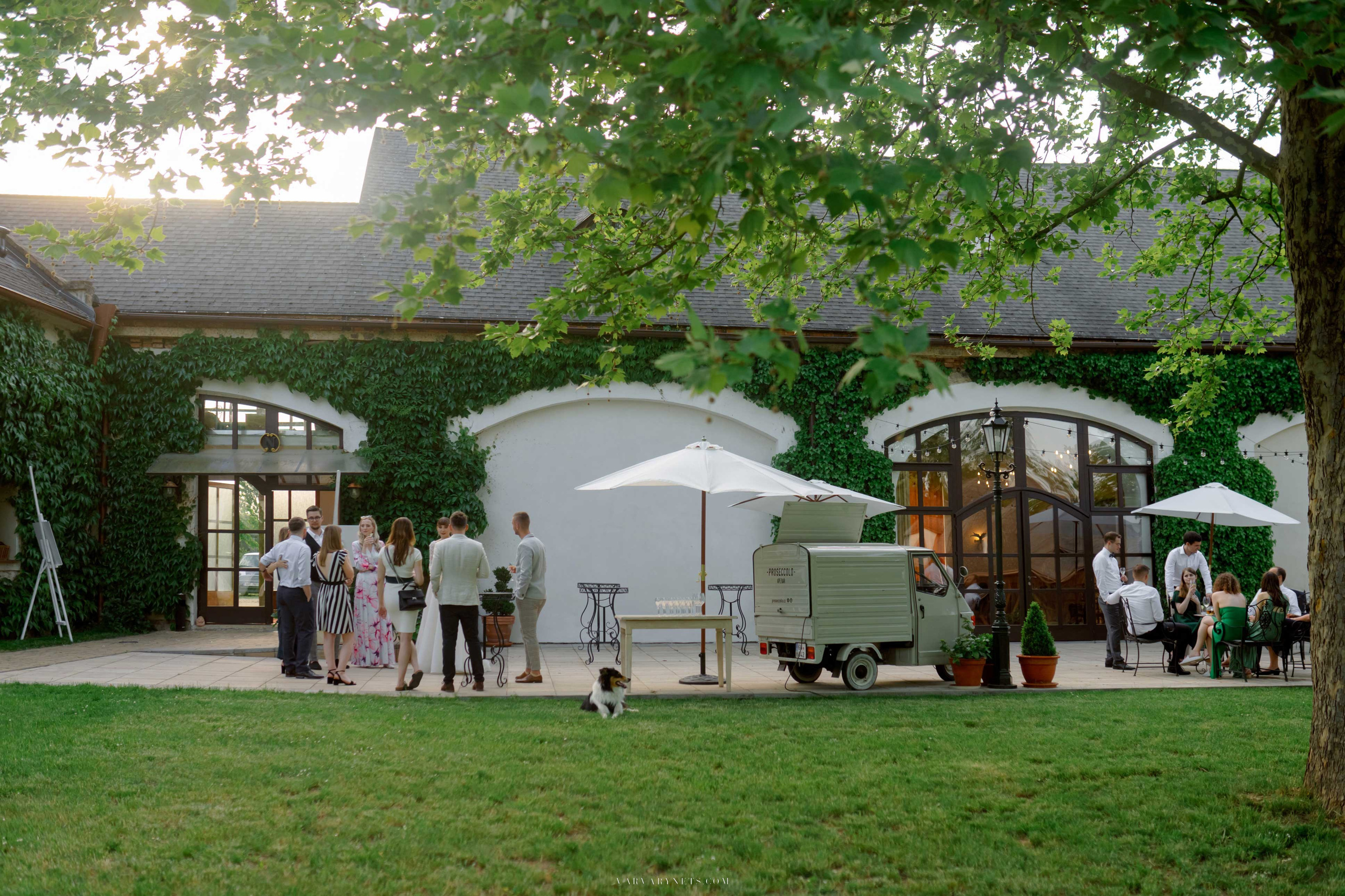 Свадьба Камилы и Ондрея. Vitalie Varvarynets — свадебный фотограф Прага