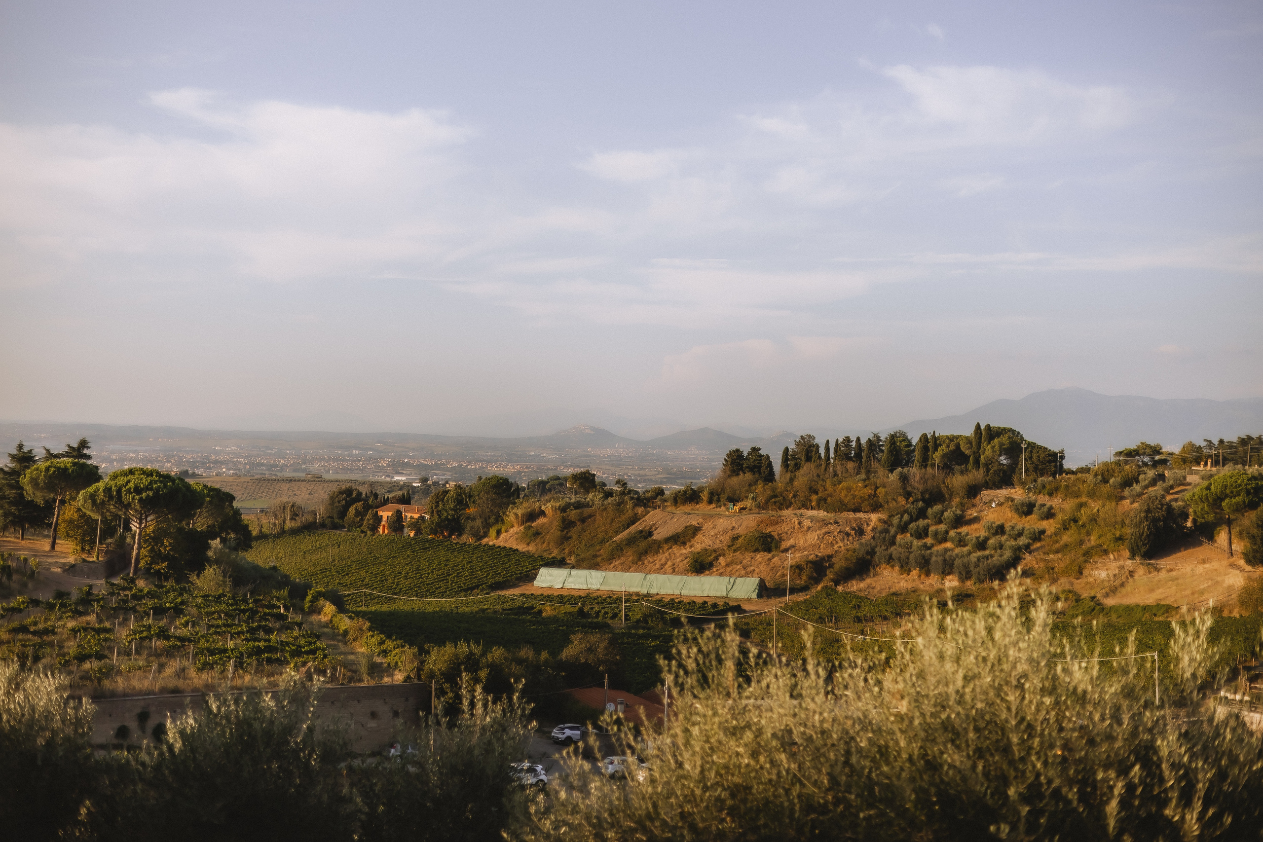 FLANNERY and PIETRO. Весільний фотограф Таня Федорова та відеограф Олексій Федоров