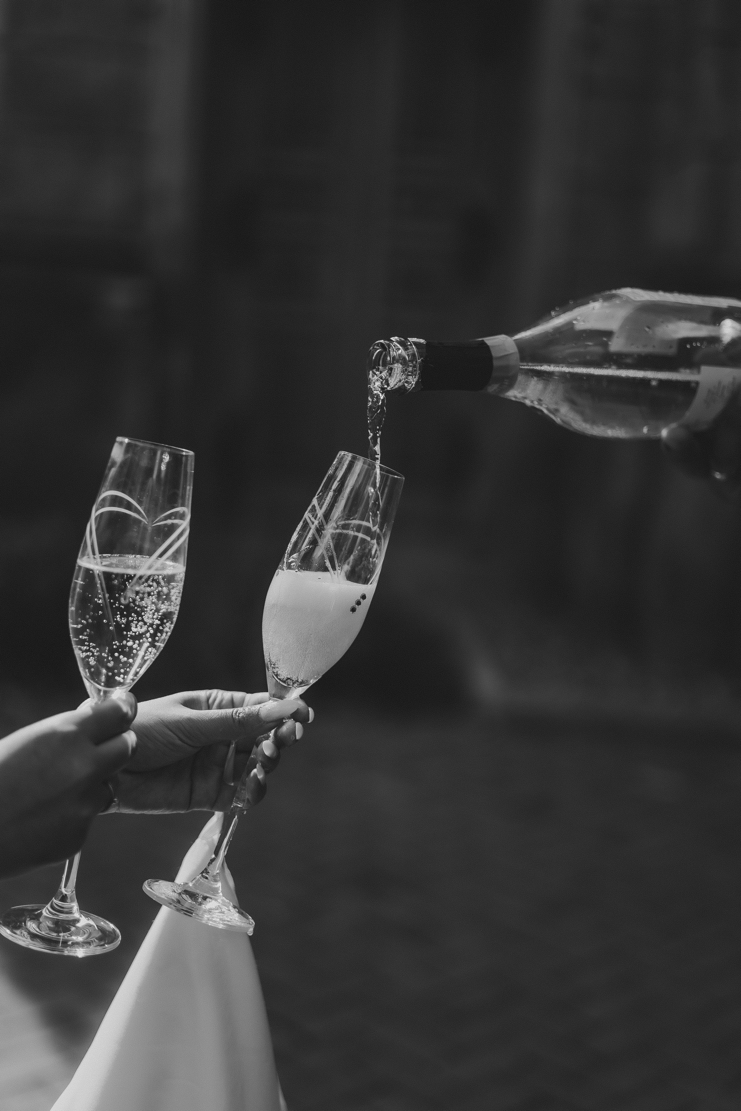 OKSANA and VASYL. Весільний фотограф Таня Федорова та відеограф Олексій Федоров