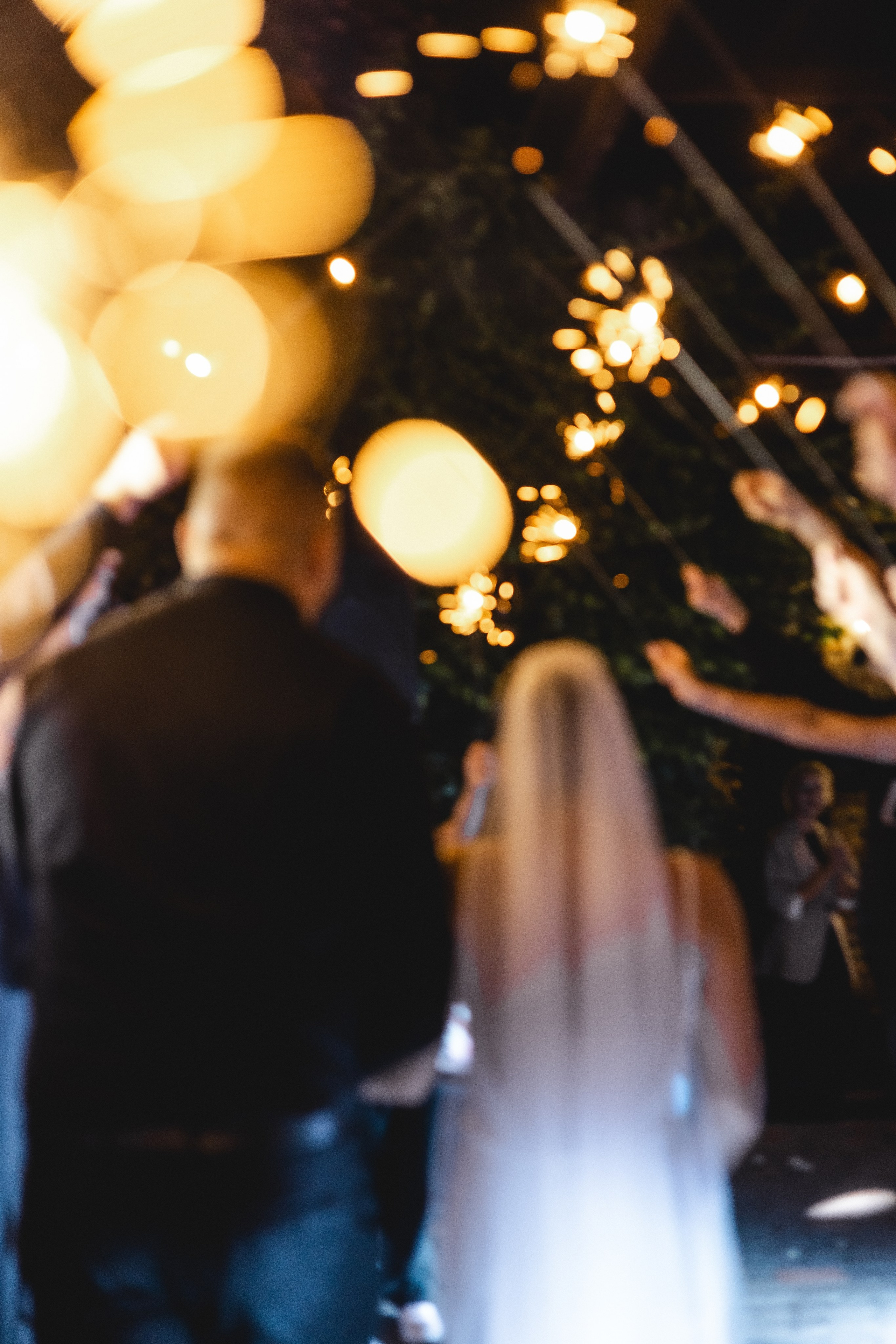 OKSANA and VASYL. Весільний фотограф Таня Федорова та відеограф Олексій Федоров