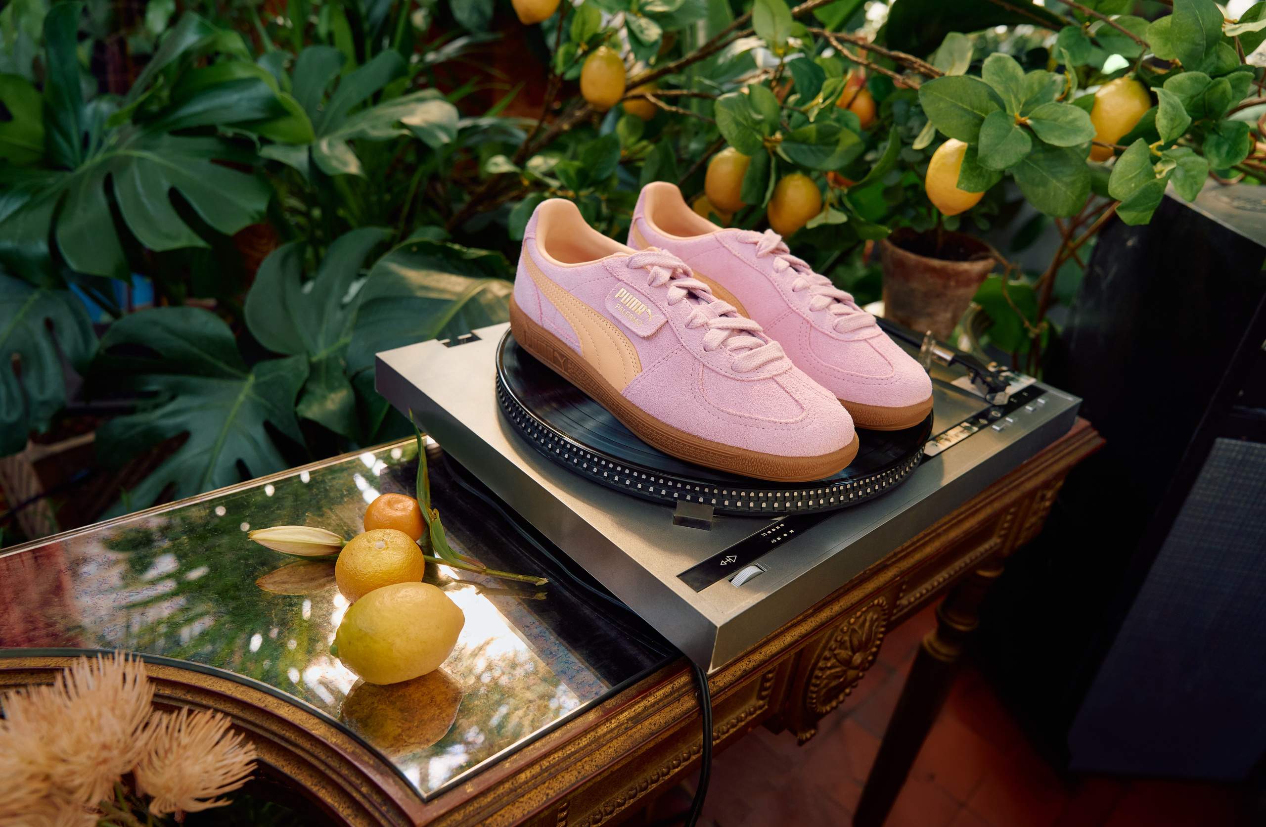 Puma. Danya Pryvit | Photographer