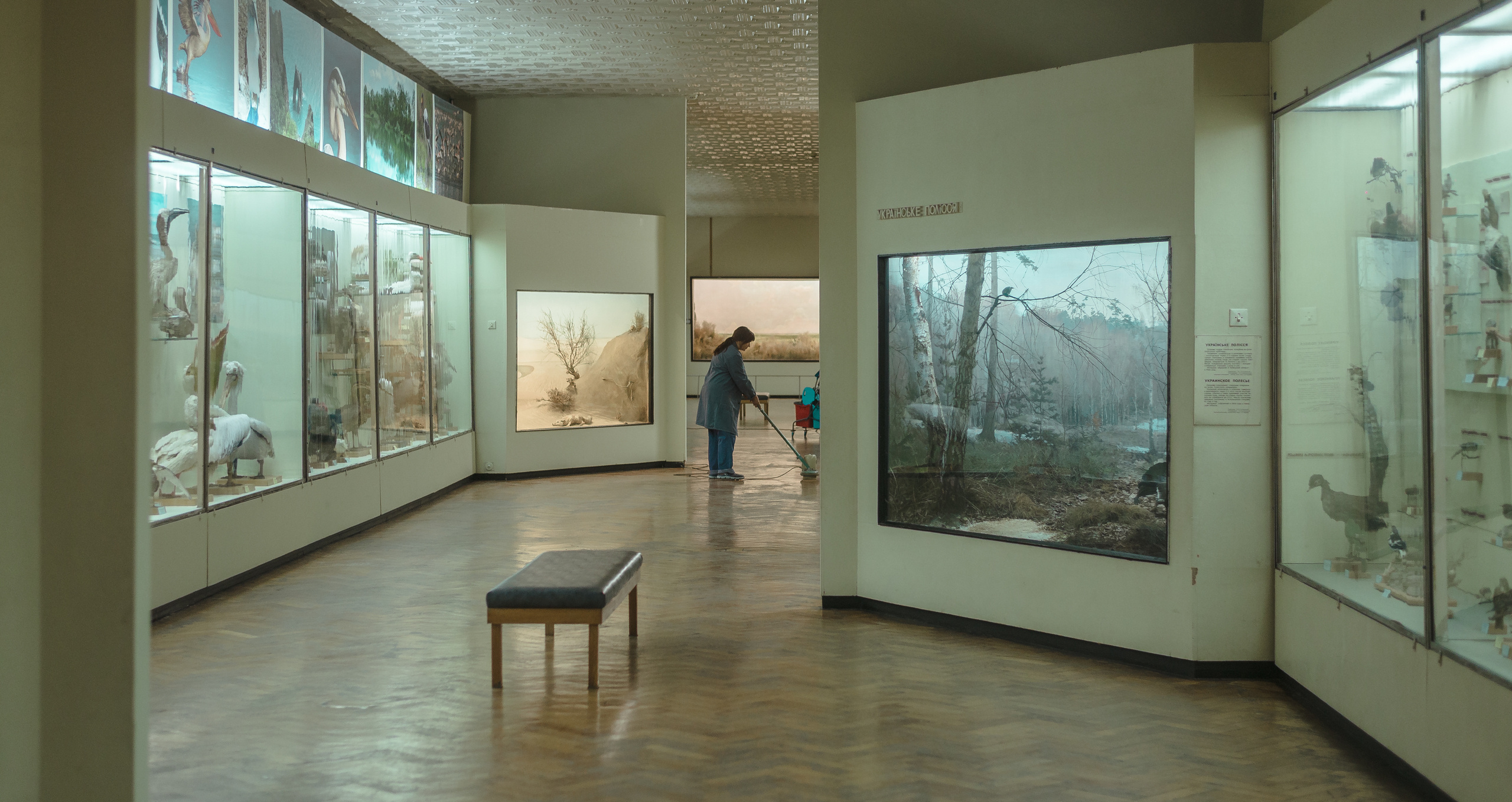 Random. Danya Pryvit | Photographer