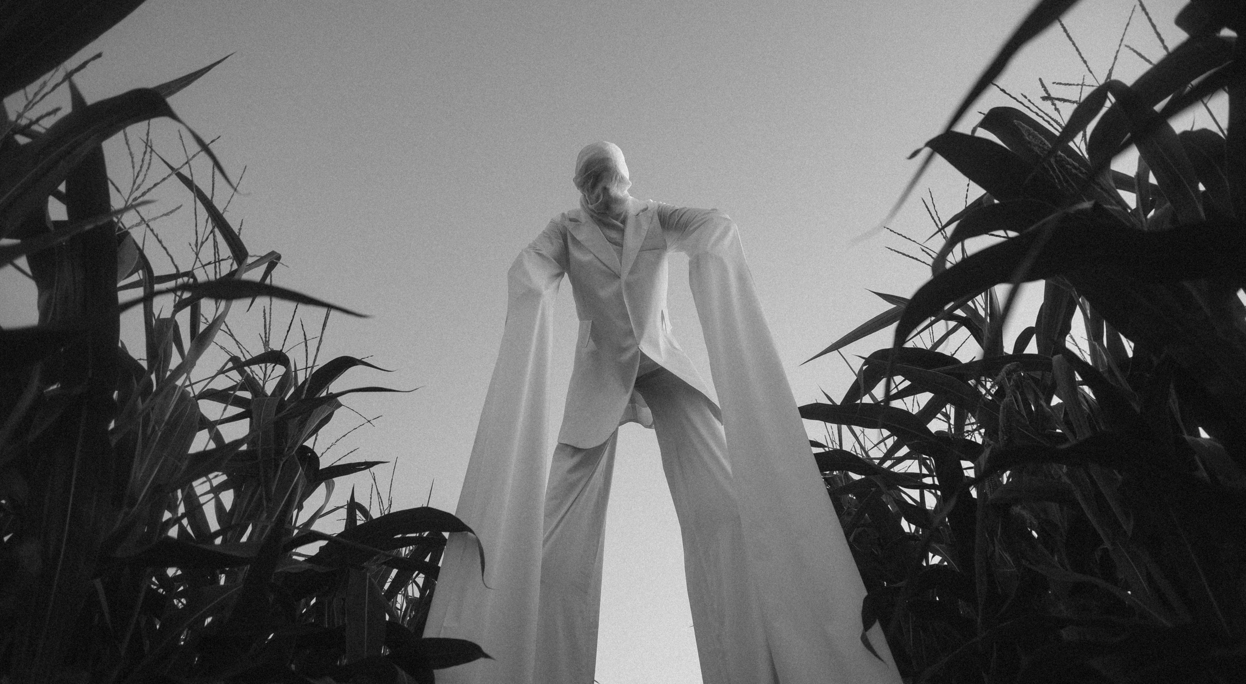 Random. Danya Pryvit | Photographer