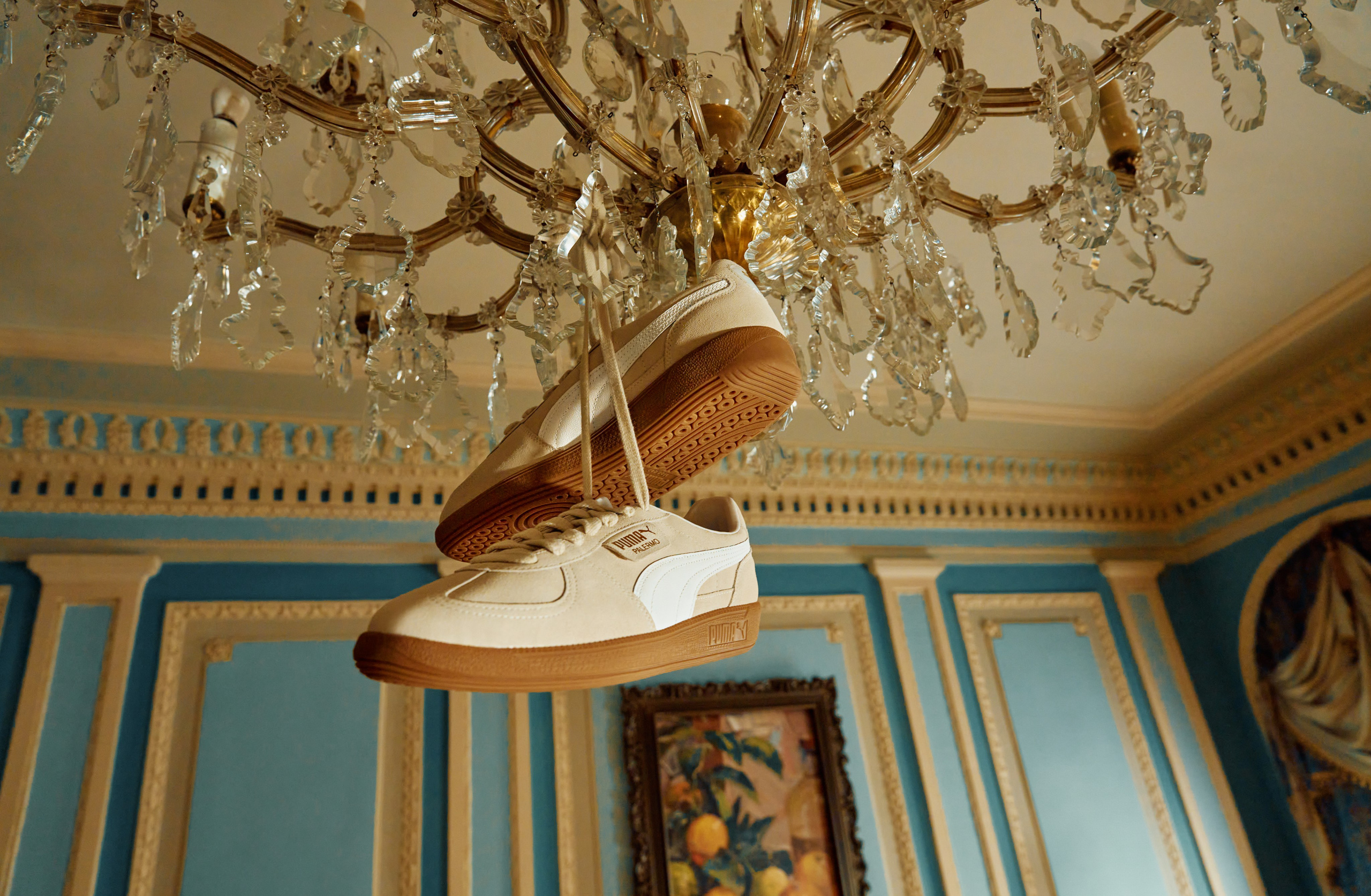 Puma. Danya Pryvit | Photographer