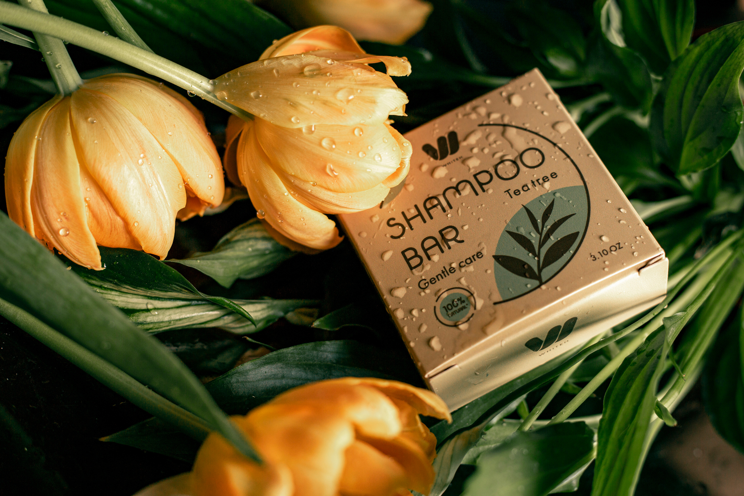 Предметка. Професійне фото і відео по всій Україні