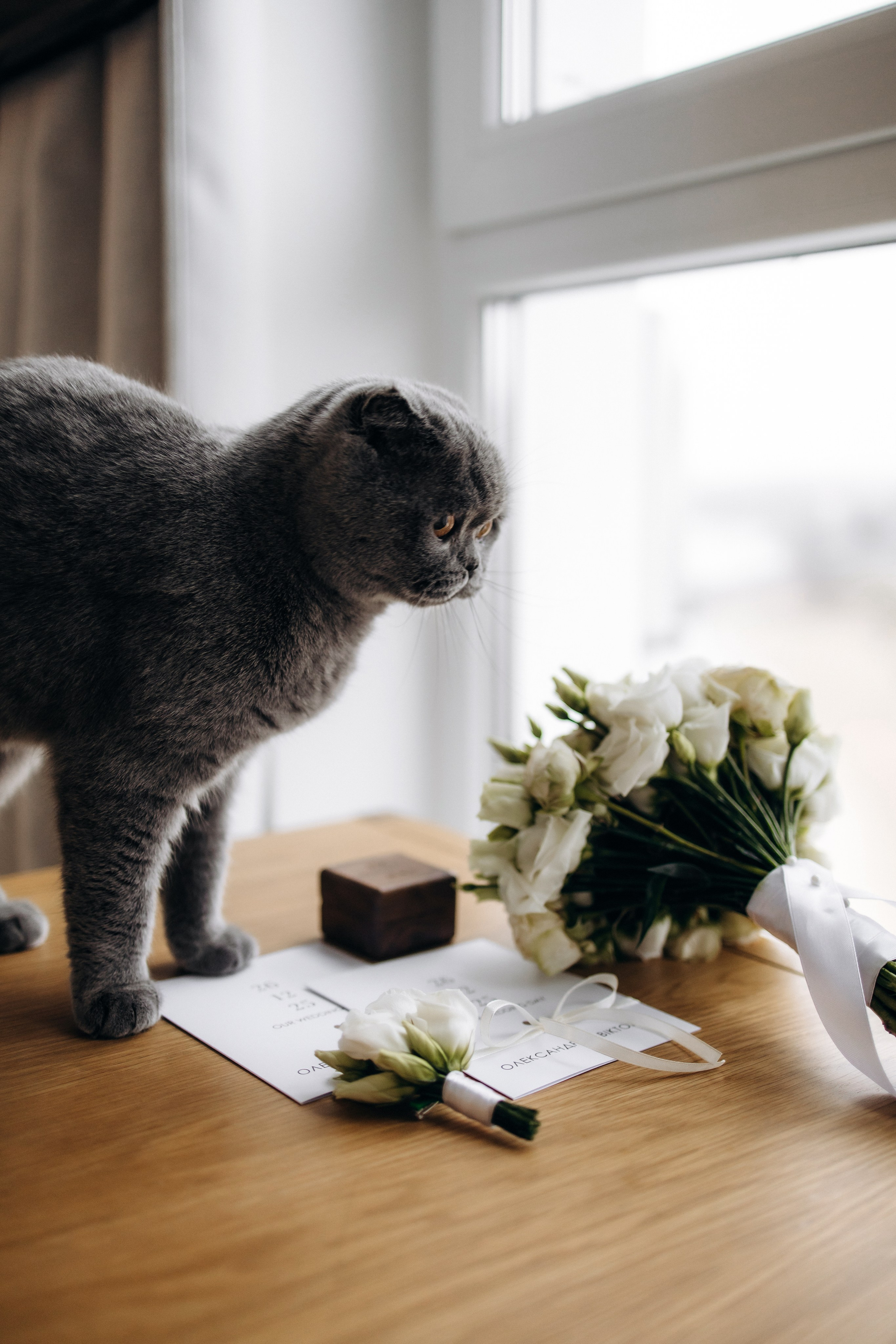 Вікторія та Олександр. Весільний та сімейний фотограф